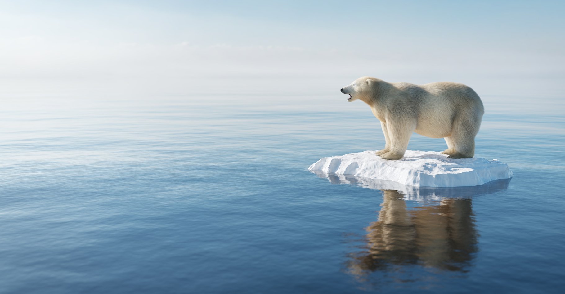 Chaque année, la glace de la banquise arctique semble fondre un peu plus sous l’effet du réchauffement climatique. © Photocreo Bednarek, Adobe Stock