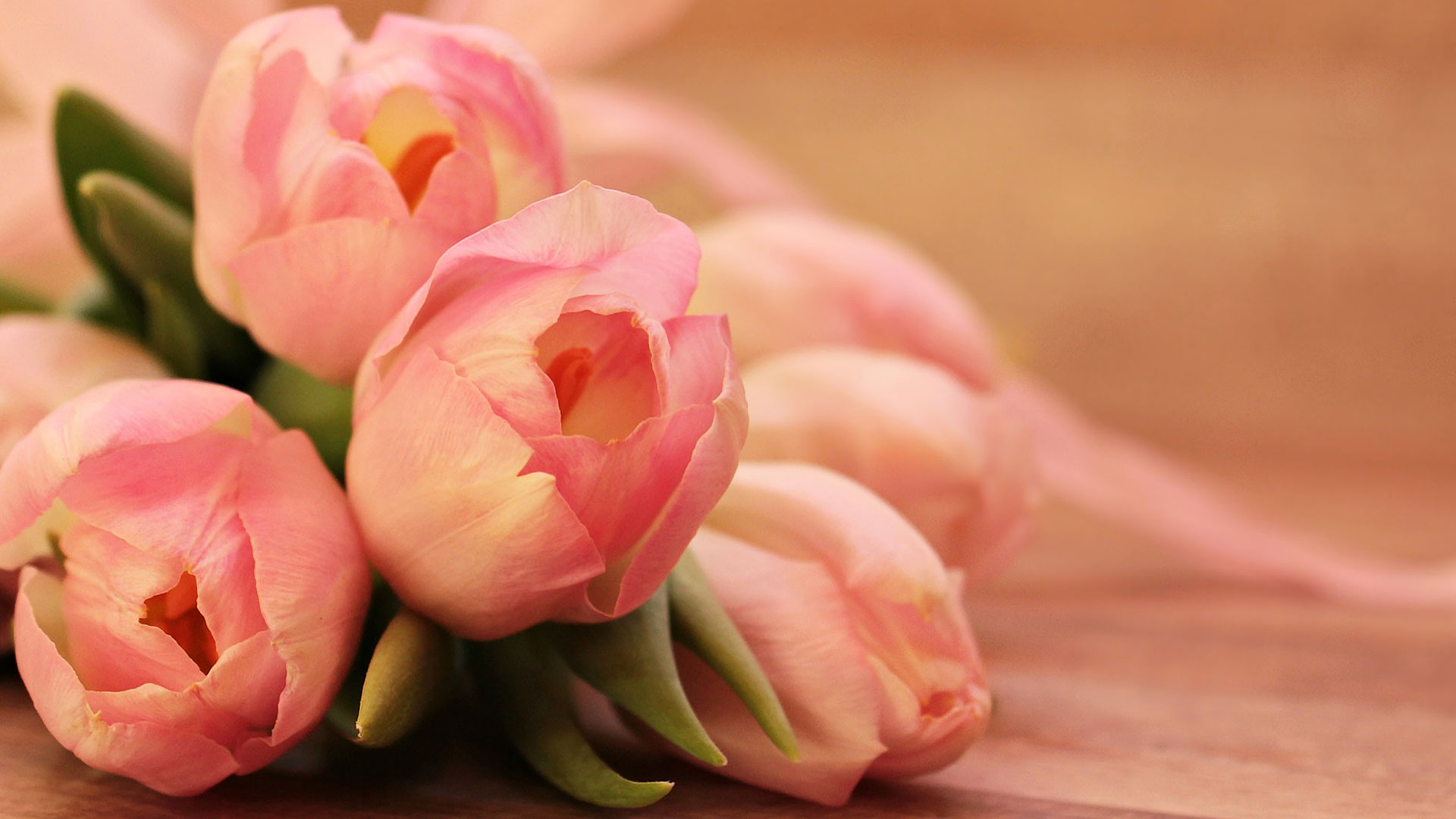 Des tons vibrants aux tons pastel, les tulipes colorent votre jardin. © Pixel 2013, Pixabay, DP