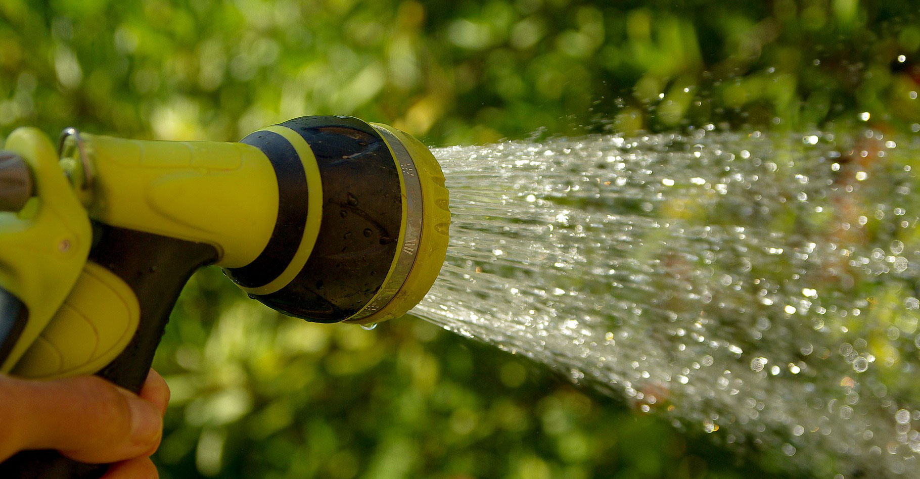 Comment économiser de l'eau en été pour vos cultures ? © JackMac34, Pixabay, DP