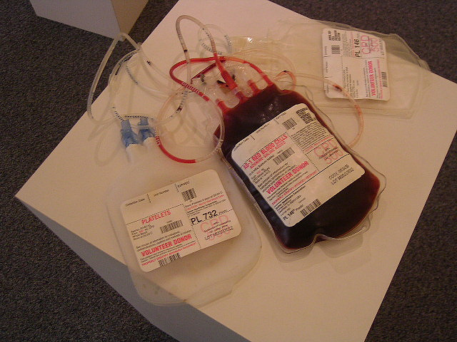 La transfusion de sang nécessite une comptabilité des groupes sanguins entre le donneur et le receveur. © Spike55151, Flickr, CC by-nc-sa 2.0