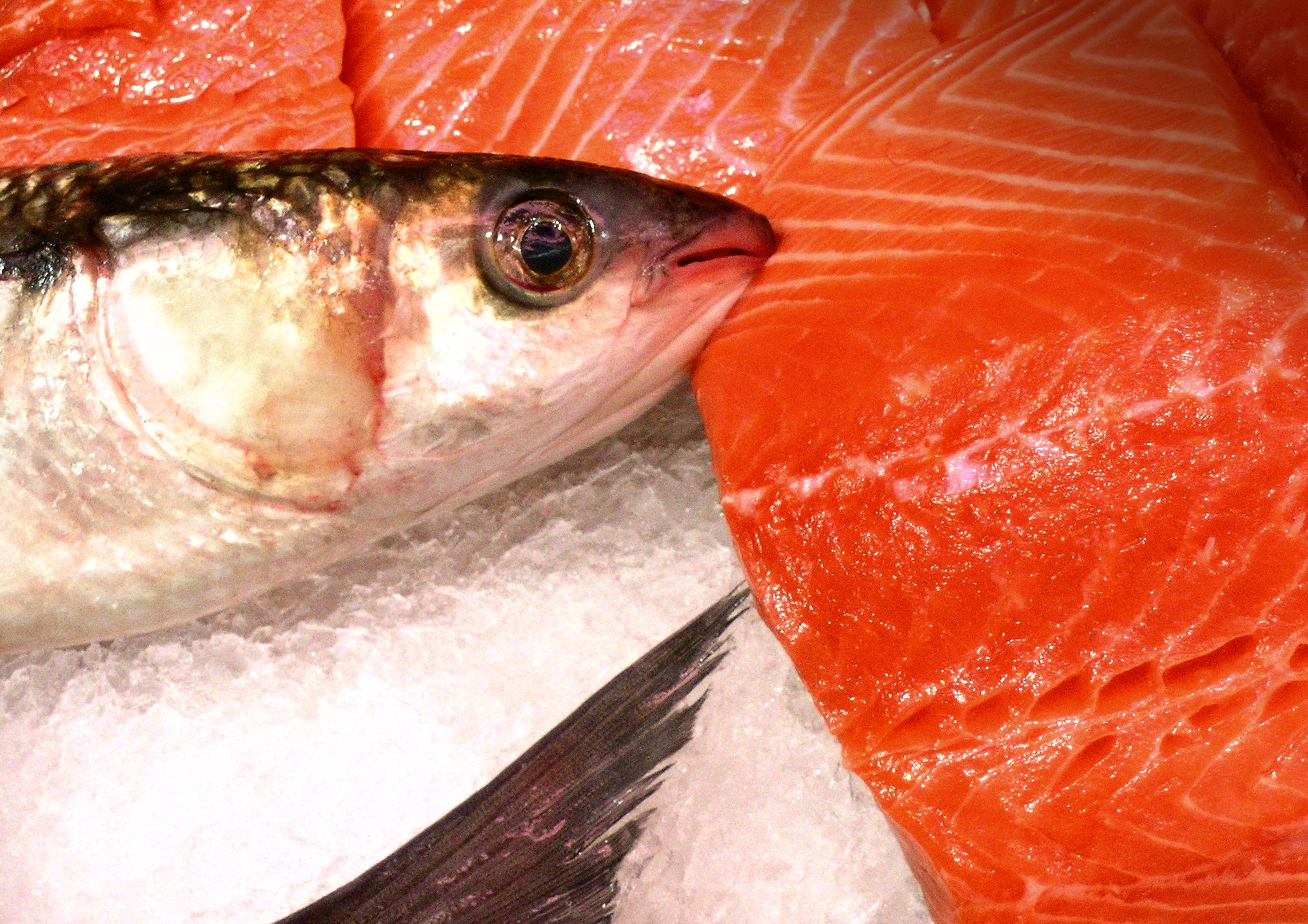 Le saumon est un des poissons les plus riches en oméga-3. © Jacques PALUT, Fotolia