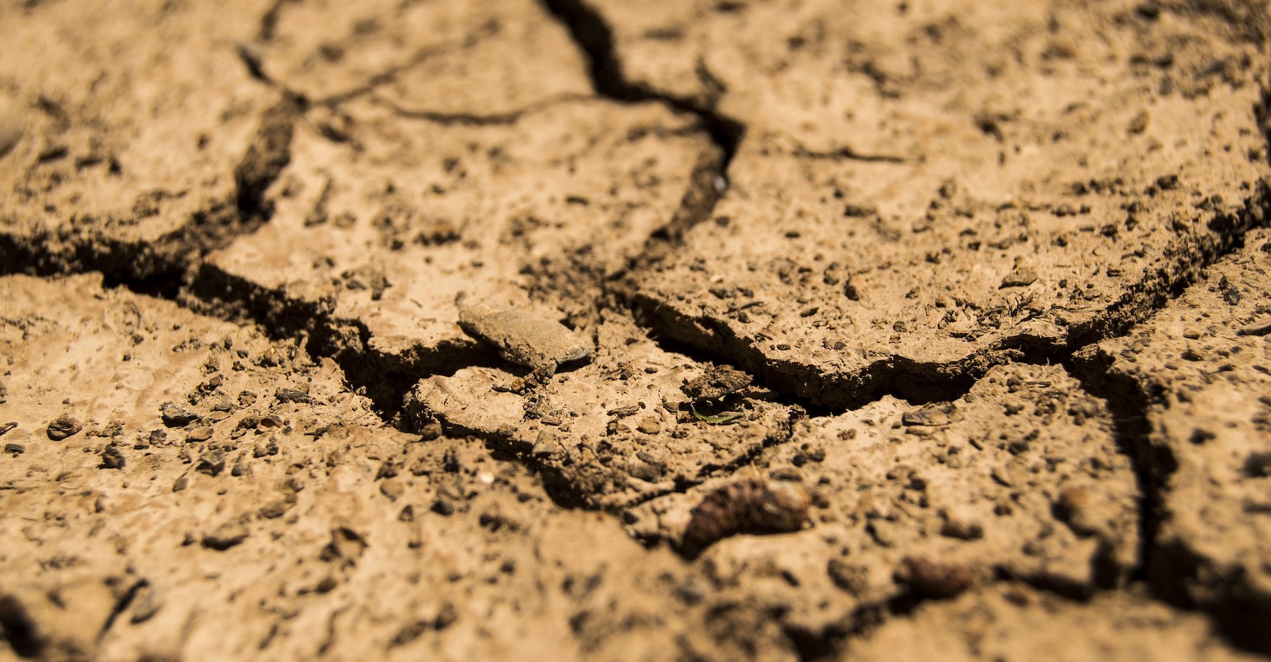 Le concept de sécheresse correspond à une notion plutôt temporelle alors que le concept d’aridité apparaît comme spatial. © nungning20, Adobe Stock