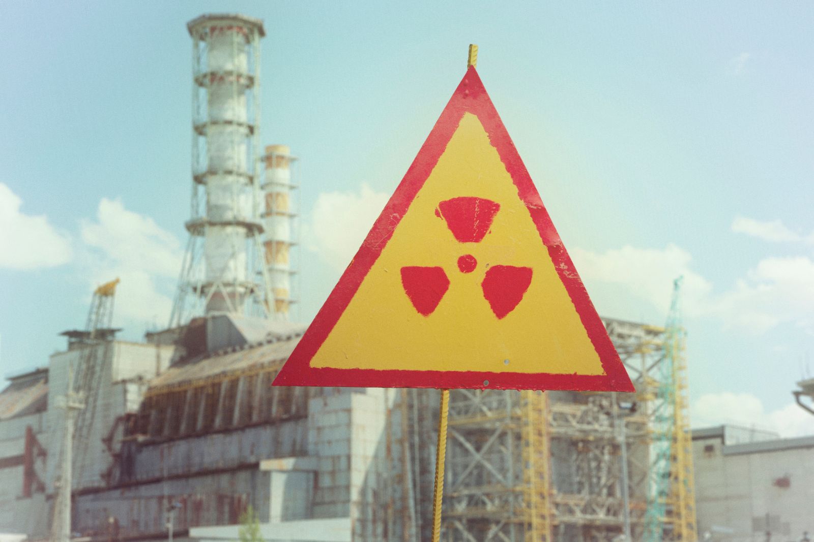 Des vers vivants près de la catastrophe de Tchernobyl ont développé un talent unique grâce à l’évolution. © iStock 