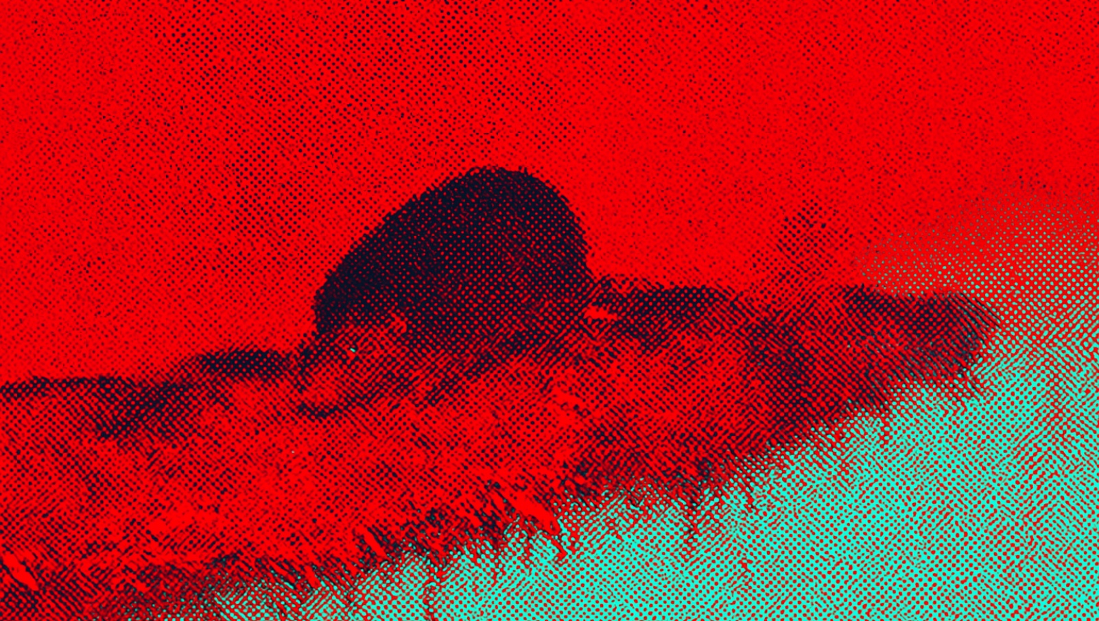 Le rat laineux. Photomontage. © XD,ChatGPT