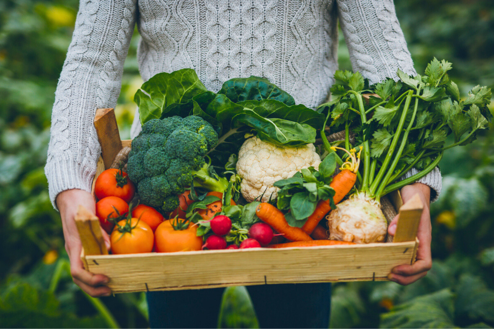 Certaines associations végétales peuvent transformer votre potager et produire de généreuses récoltes.© Hobo_018, iStock