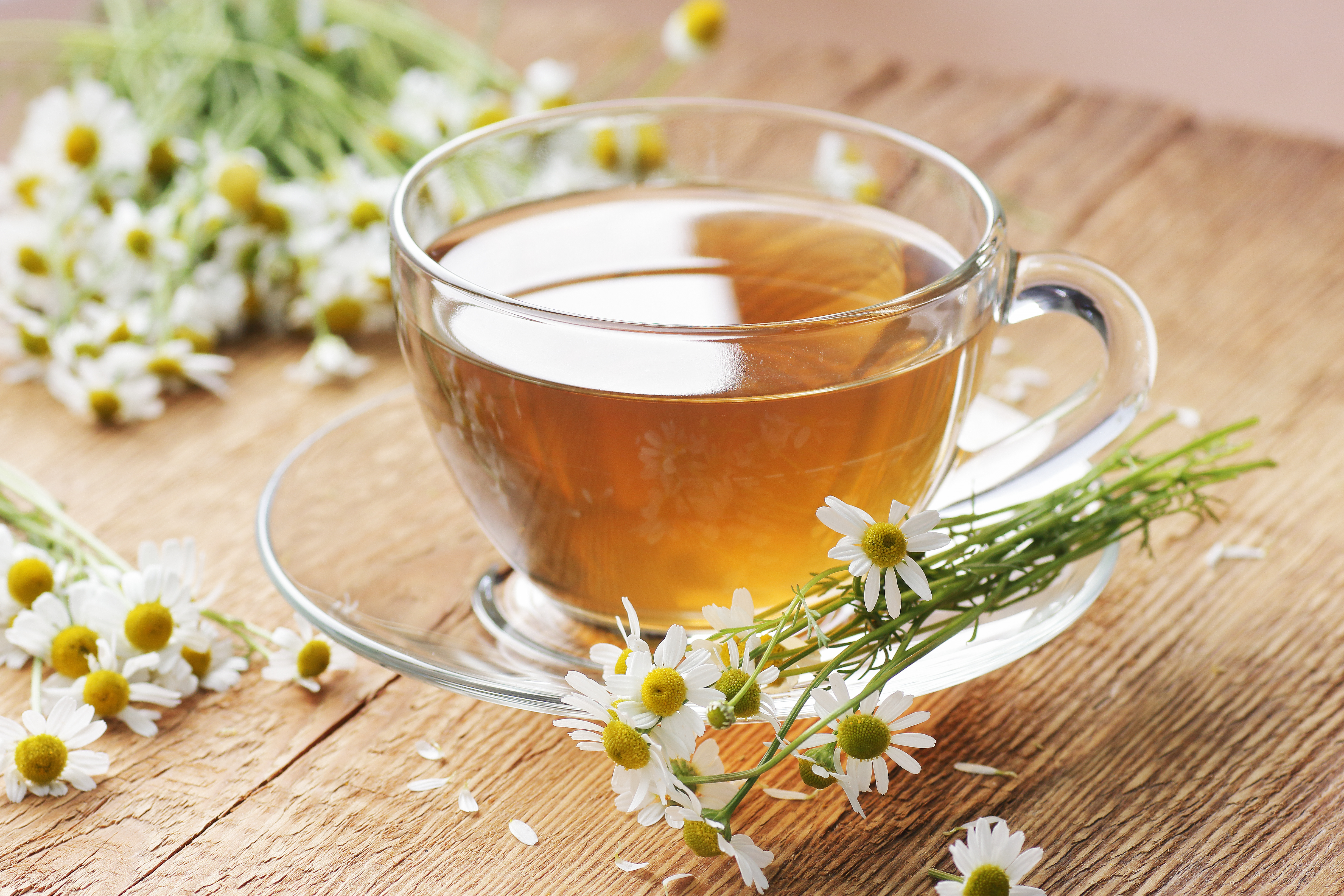 Les remèdes naturels pour soigner un rhume offrent une approche douce et holistique pour soulager les symptômes et accélérer la guérison. © teatian, Adobe Stock