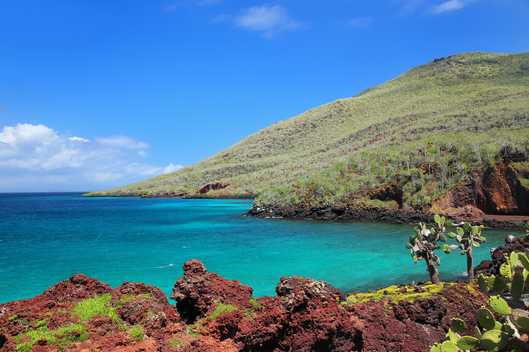 Les chercheurs ont exploré le secret de la biodiversité des îles Galápagos pour mieux la protéger contre les dégradations du climat. © donyanedomam, Fotolia