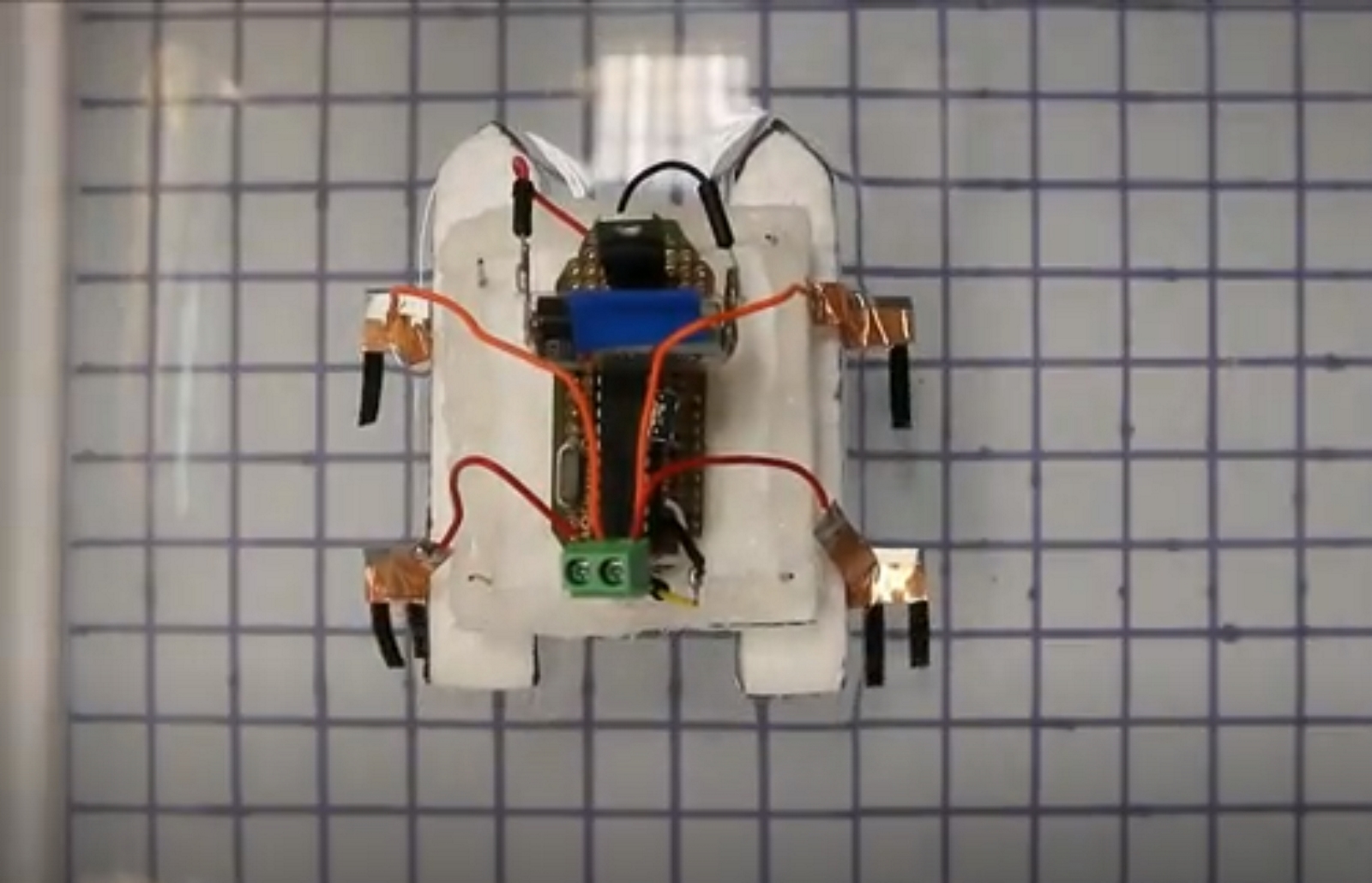 Les chercheurs de l'université de Hong Kong ont mis au point un mini-robot doté de pattes conçues à partir d'un matériau constitué d'hydroxyde de nickel oxyhydroxide. Dès qu'une source de lumière vient les stimuler, les pattes se déforment et déplacent le robot vers cette source. © University of Hong Kong