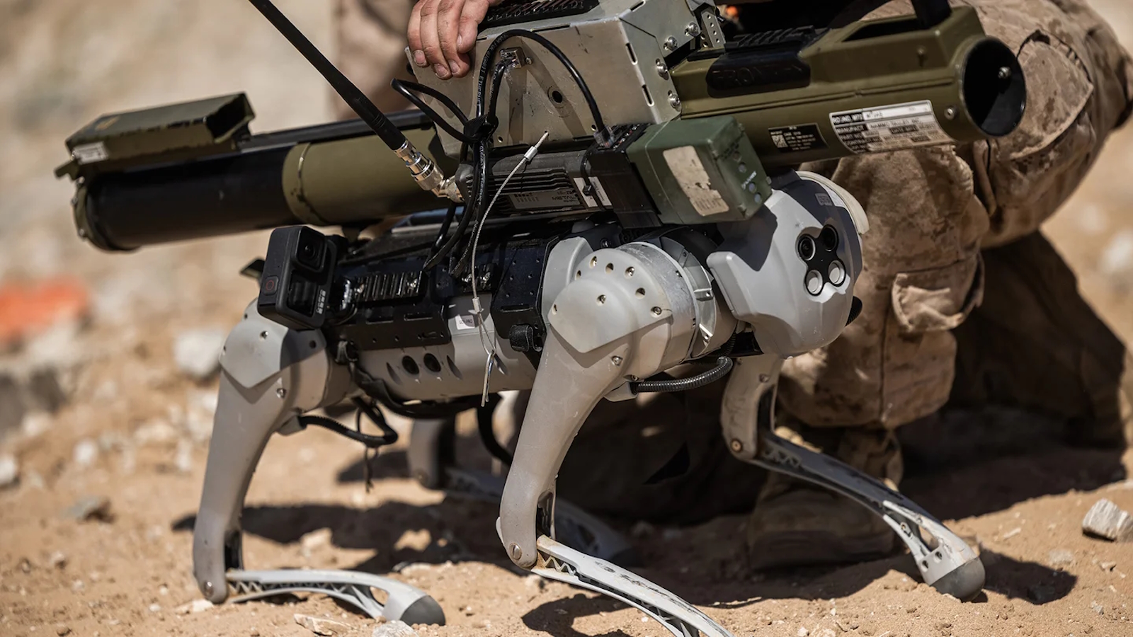 Un lance-roquette sur un robot-chien permettrait de s’approcher d’un blindé ennemi sans mettre en danger un soldat. © Justin J. Marty, US Marines