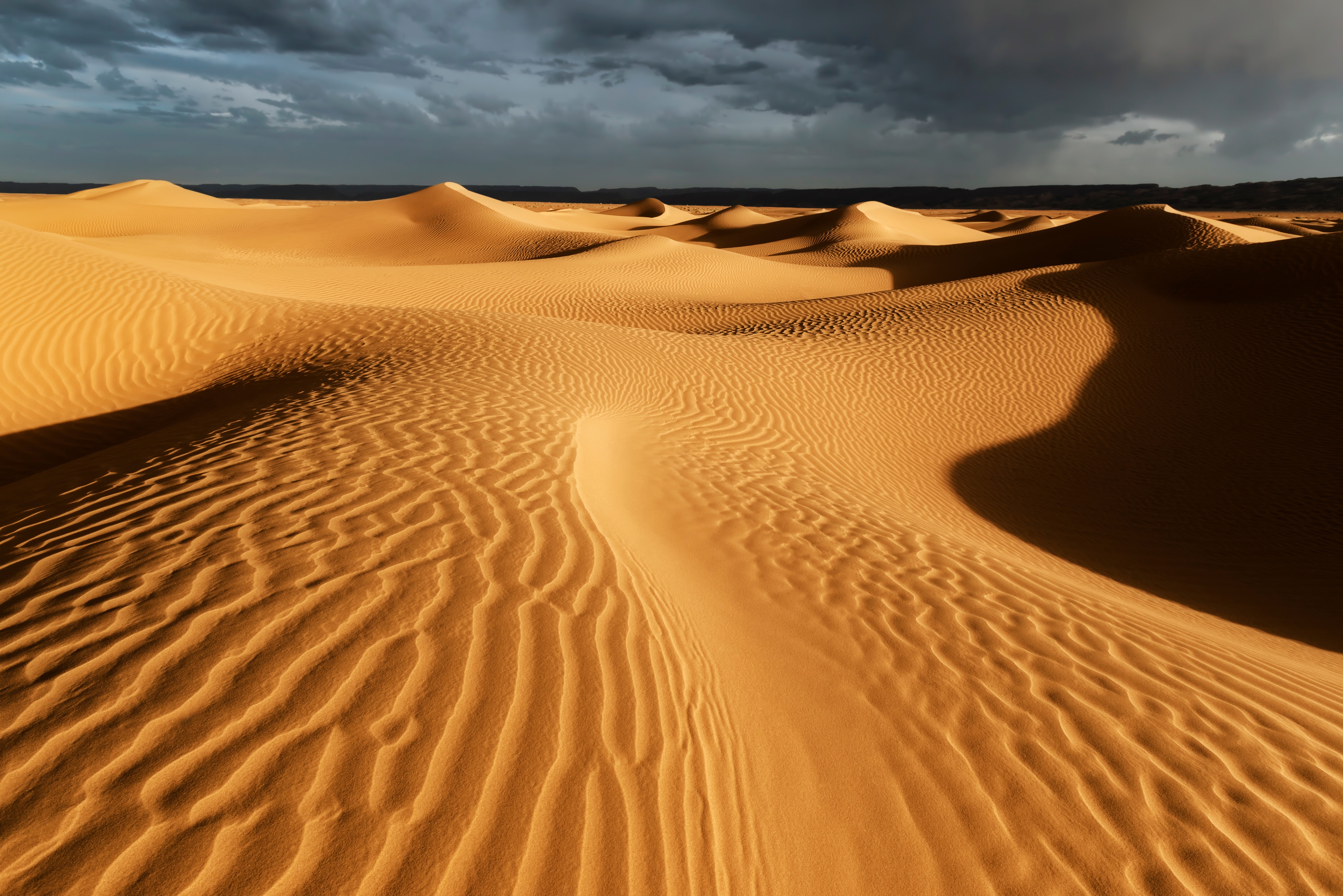 Le désert du Sahara va subir des pluies historiques. © Rosa Frei, Adobe Stock