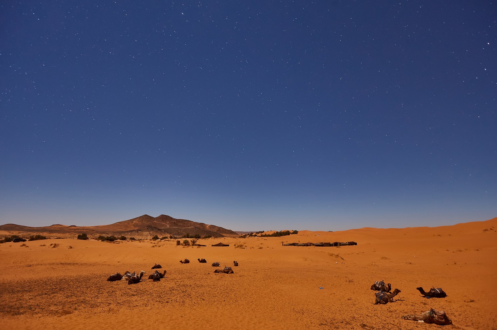 Les pays entourant le Sahara connaissent des températures moyennes supérieurs à 29 °C toute l'année. © Saharr, Fotolia