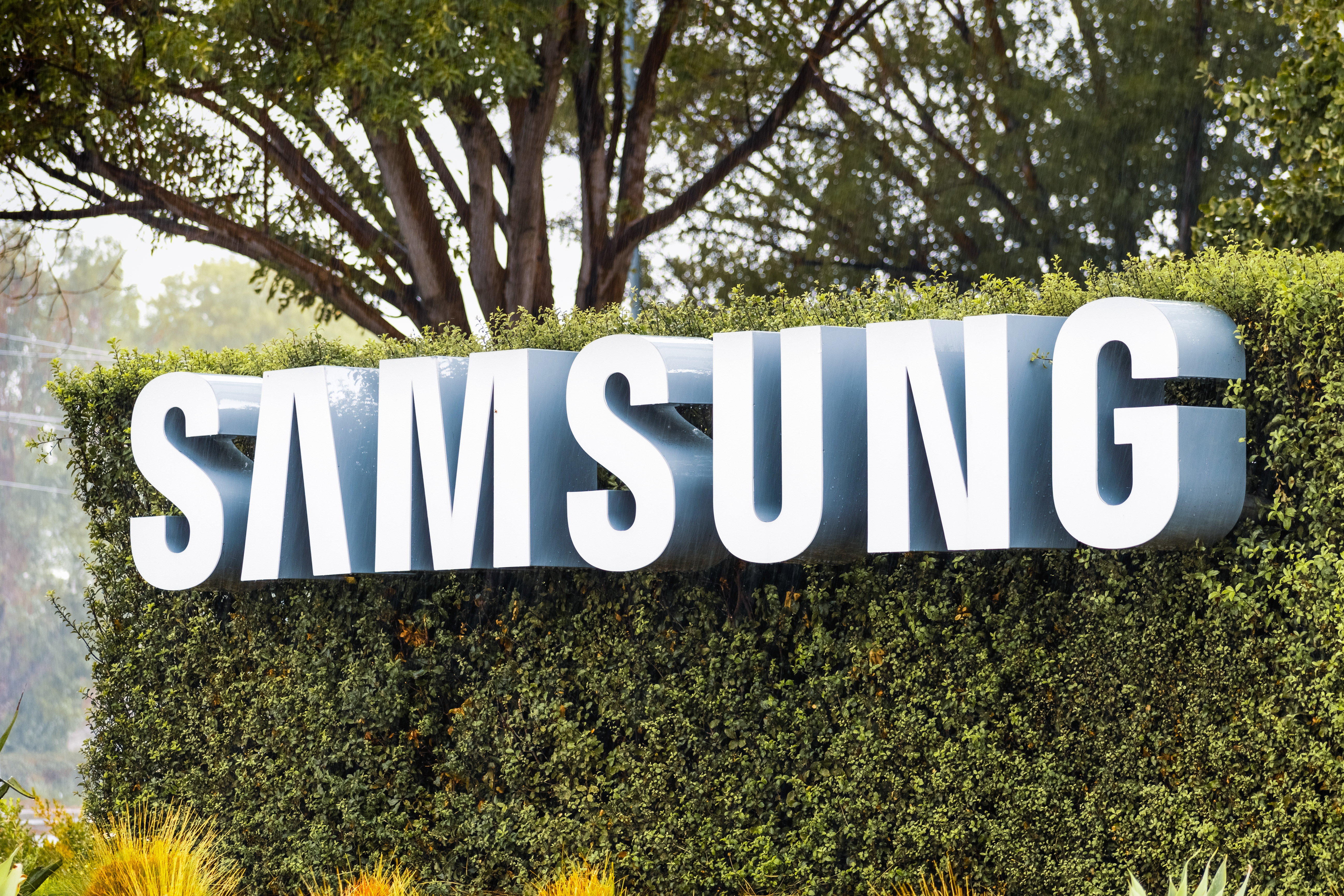Toutes les meilleures offres Samsung sont à saisir maintenant lors de ventes flash Amazon © Sundry Photography, Adobe Stock