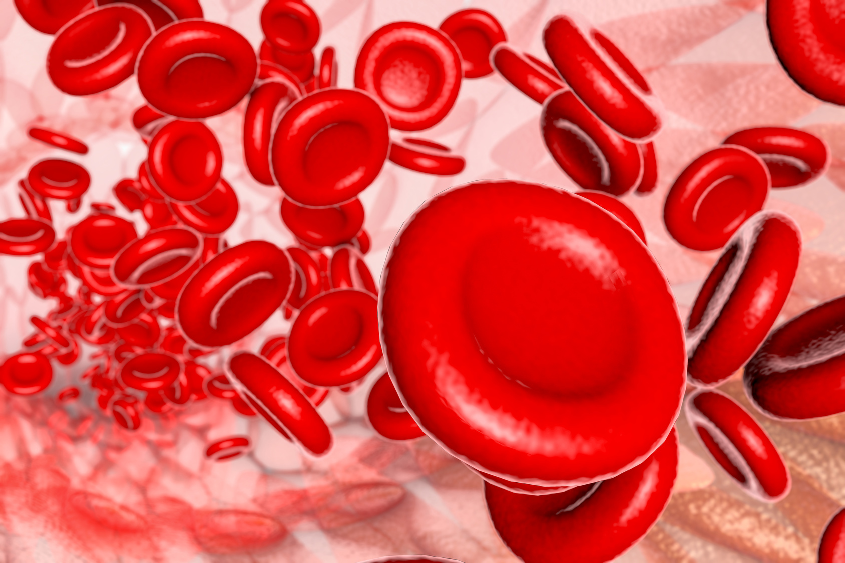 Illustration de globules rouges dans la circulation sanguine. © tuckraider, Fotolia