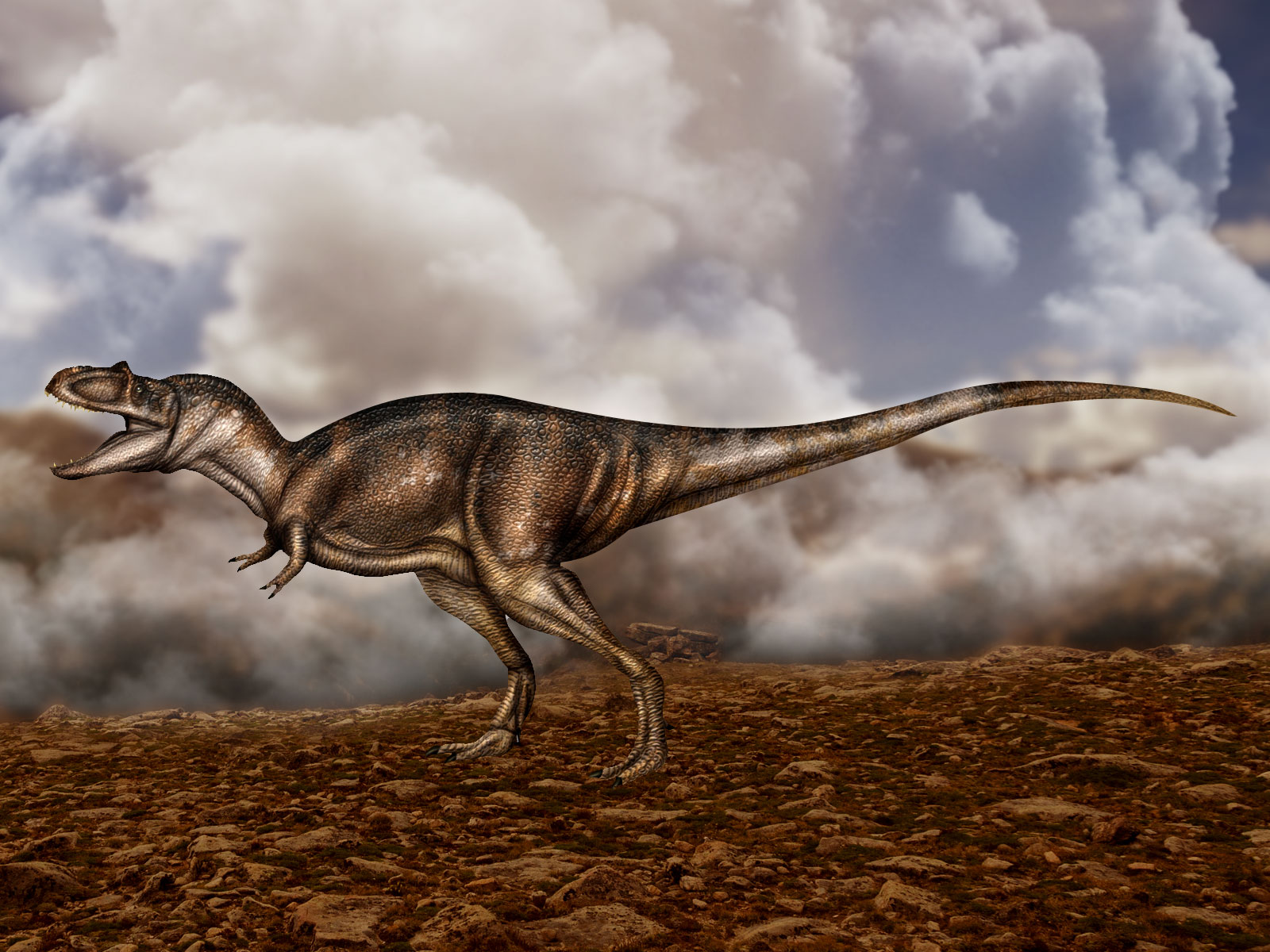 Dinosaure : l'Albertosaurus sarcophagus a vécu au Crétacé il y a 70 millions d'années