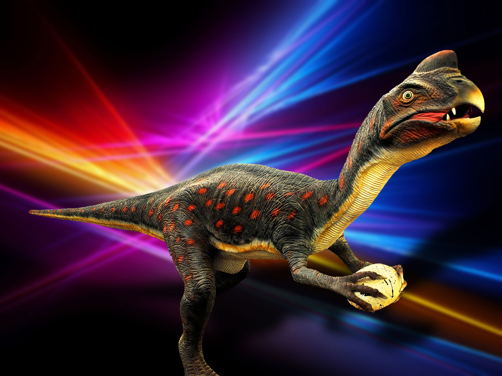 Oviraptor, dinosaure théropode de Mongolie