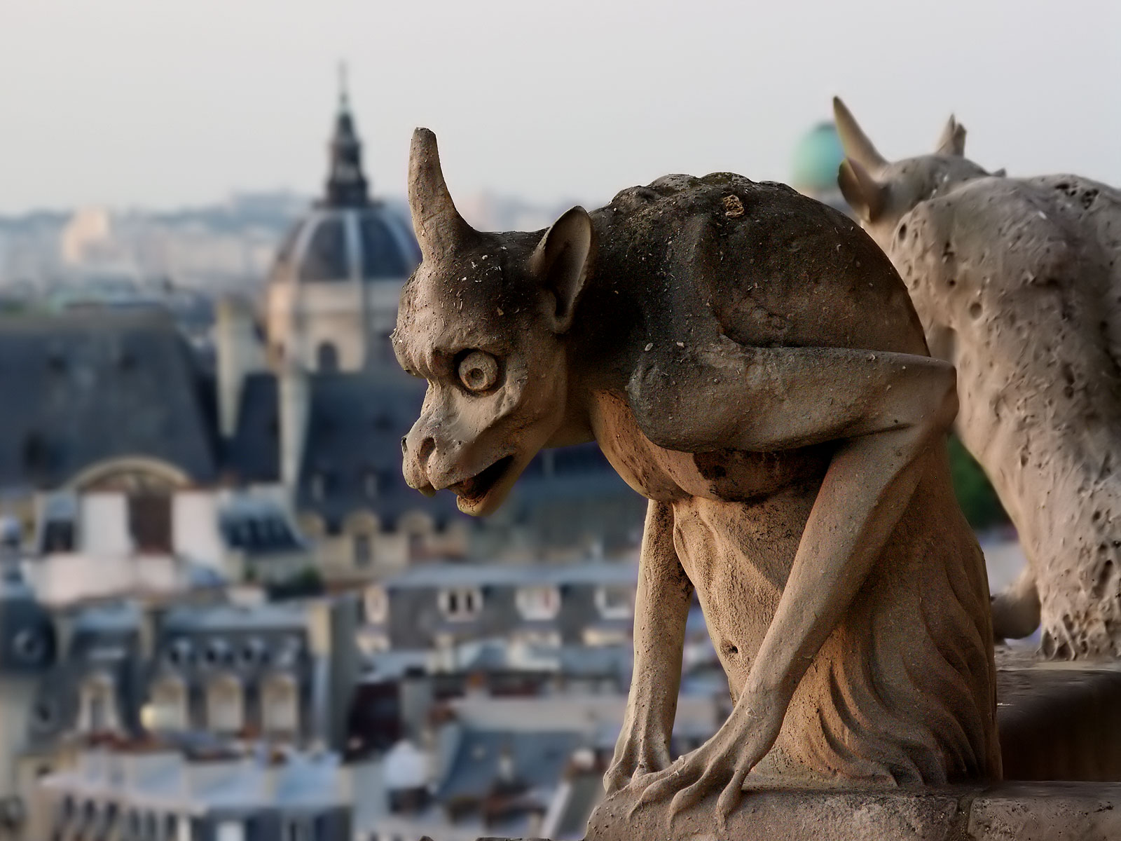 Gargouille Notre-Dame de Paris