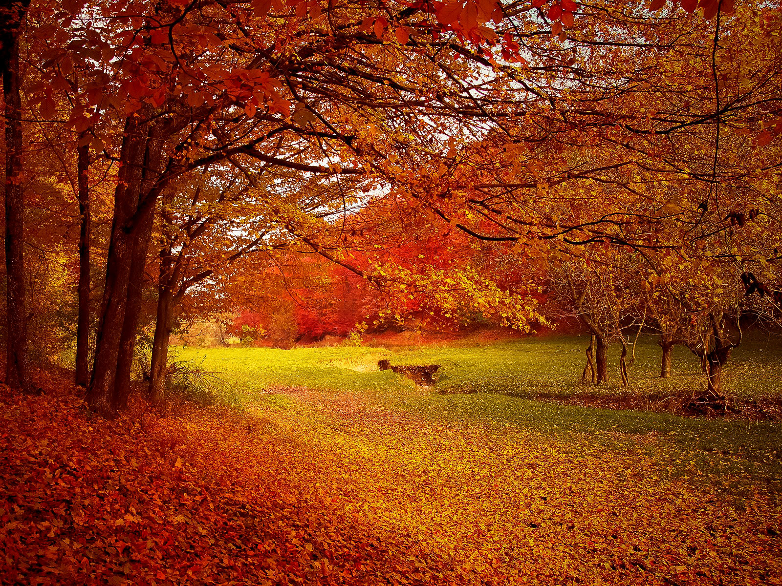 photographie de paysage automne