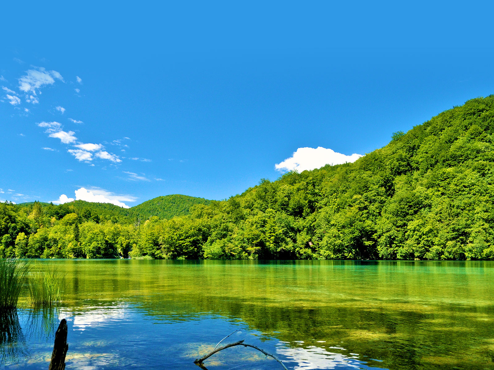 Eté au bord du lac de Plitvice - Croatie