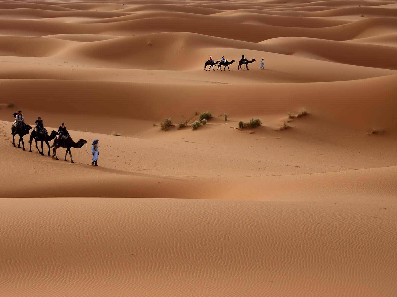 Maroc les beautés du désert