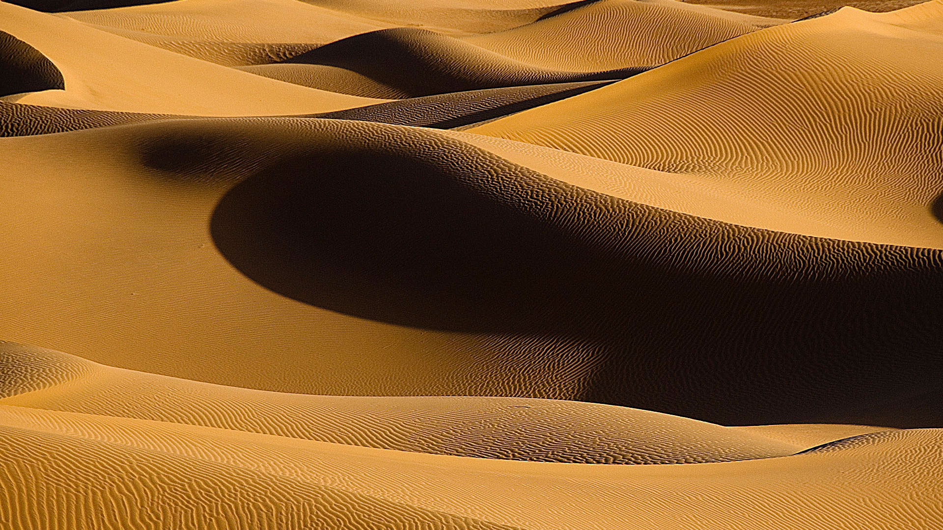 Dune Erg Lihoudi Sahara