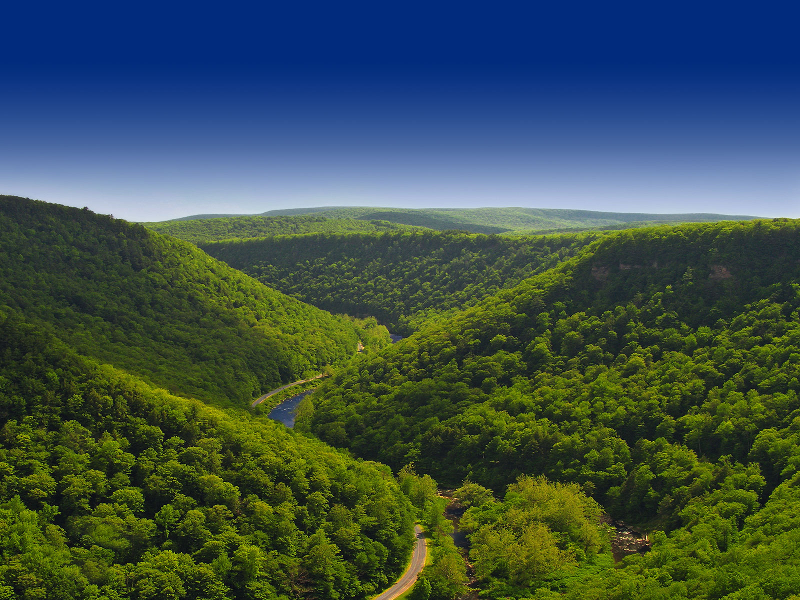 Gorges de Pine Creek - Pennsylvanie