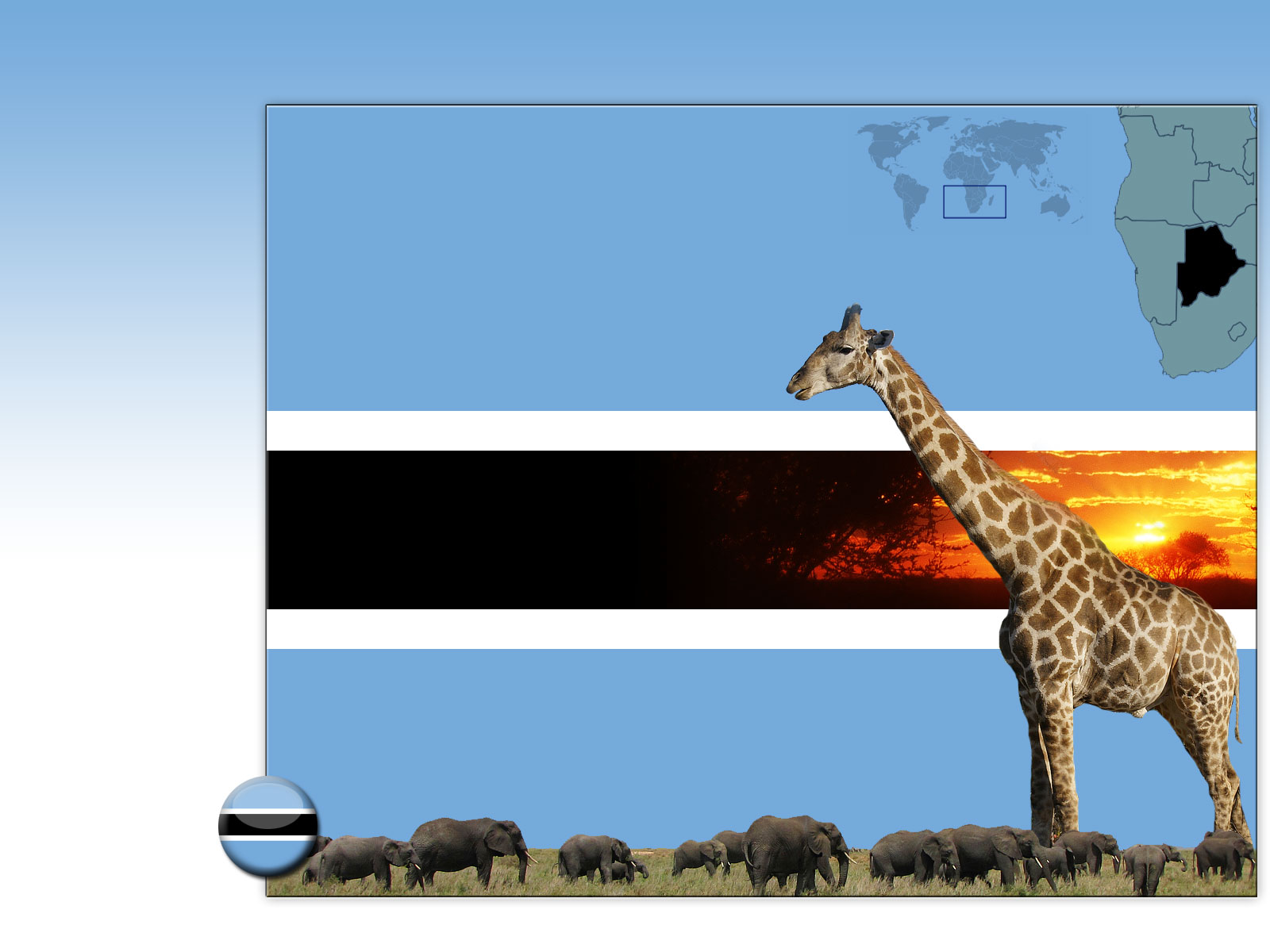 Drapeau : Botswana