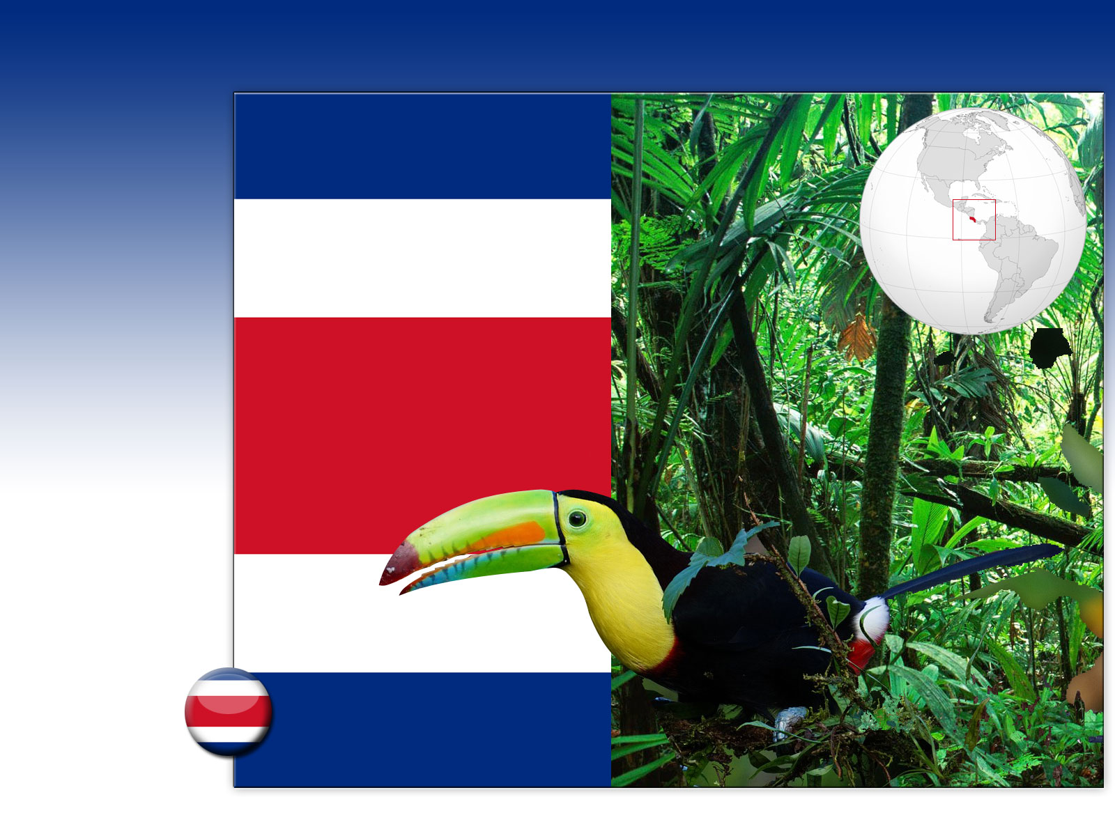 Drapeau : Costa Rica