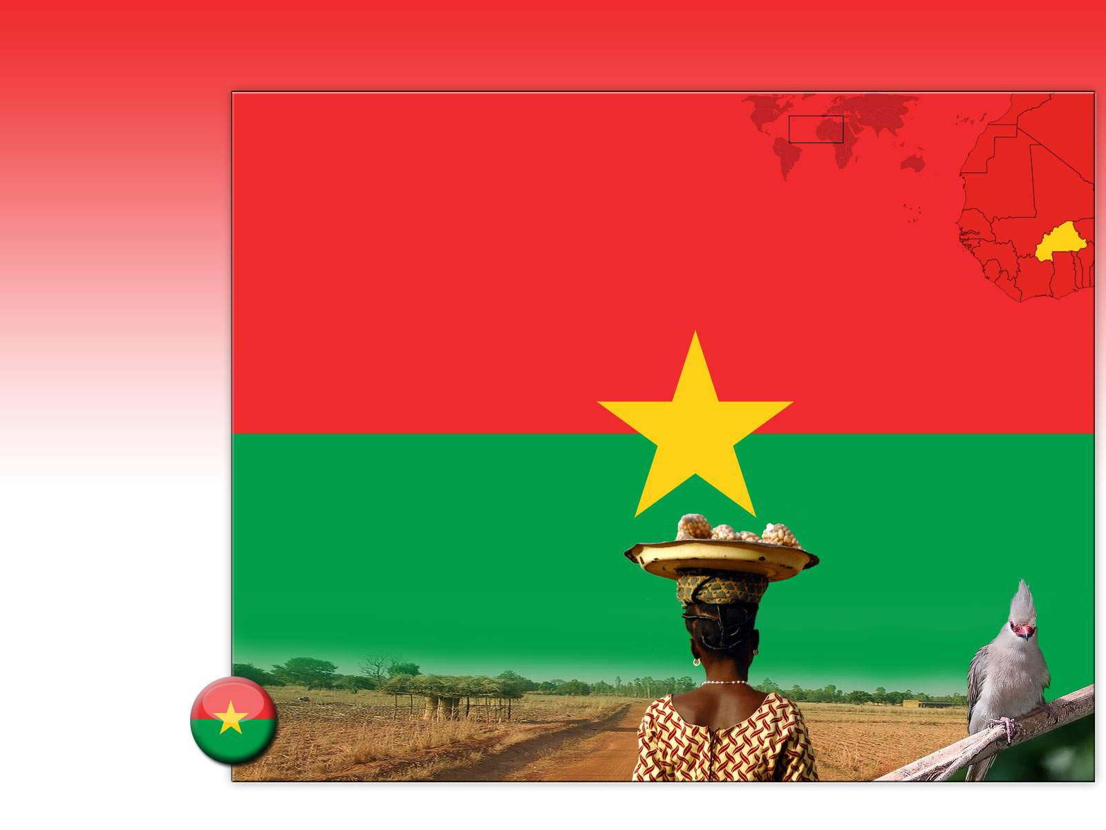 Drapeau : République du Burkina