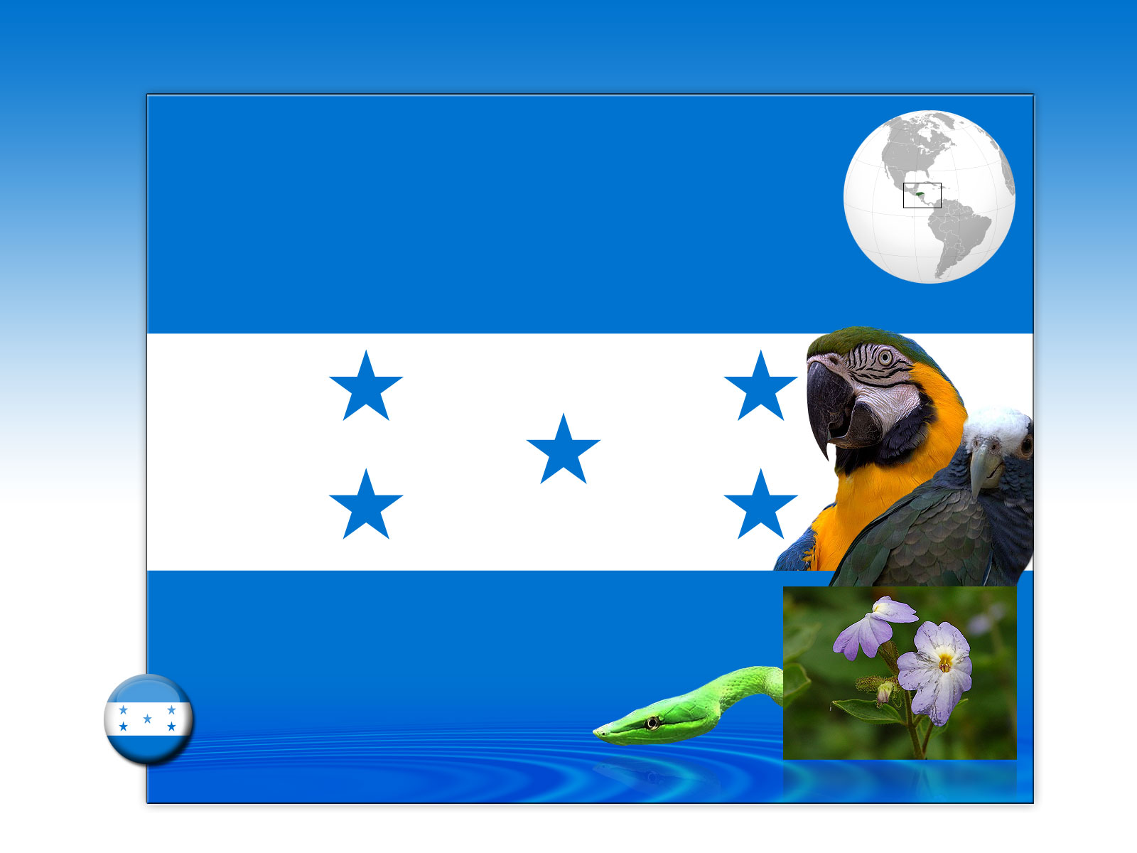 Drapeau : Honduras