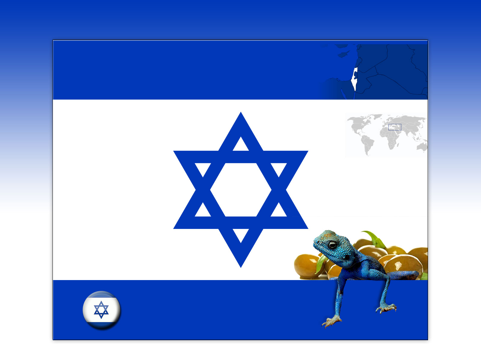 Drapeau : Israël