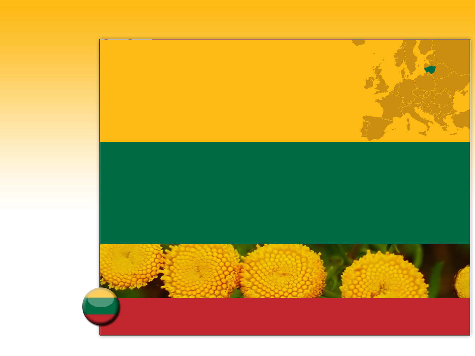 Drapeau : Lituanie