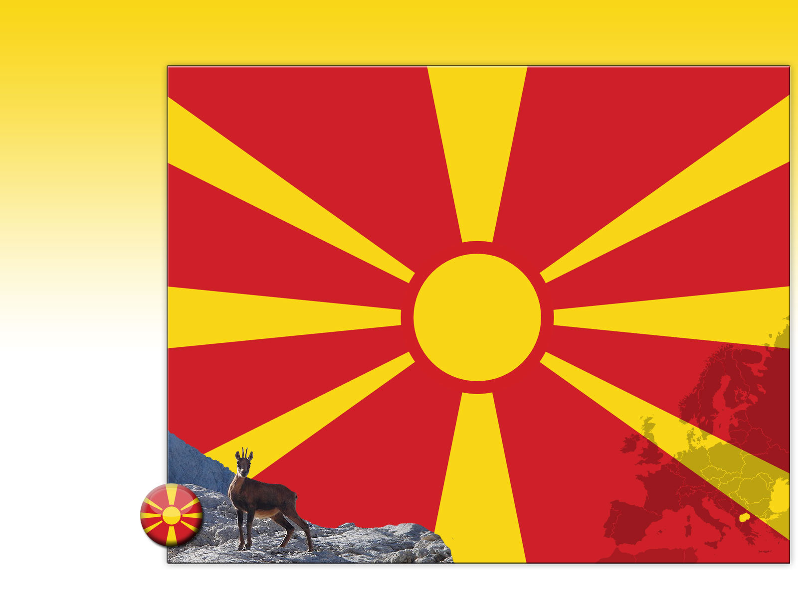 Drapeau : Macédoine