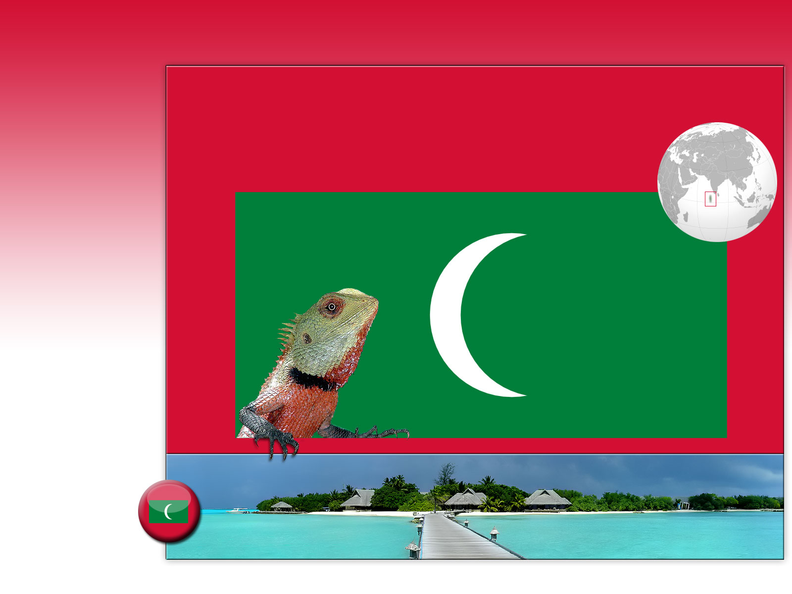 Drapeau : Maldives