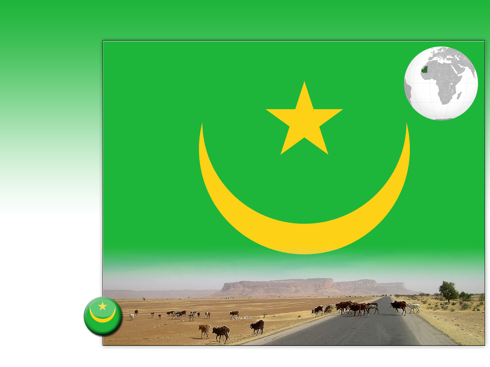 Drapeau : Mauritanie