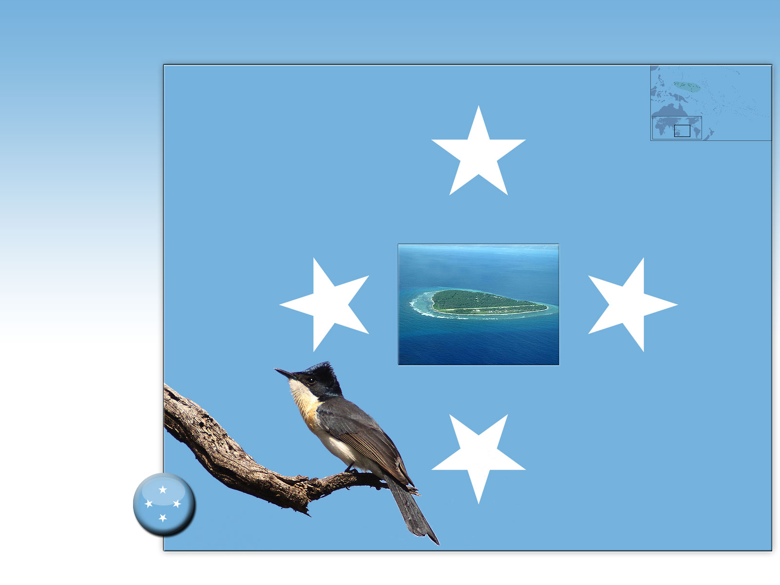 Drapeau : Micronésie