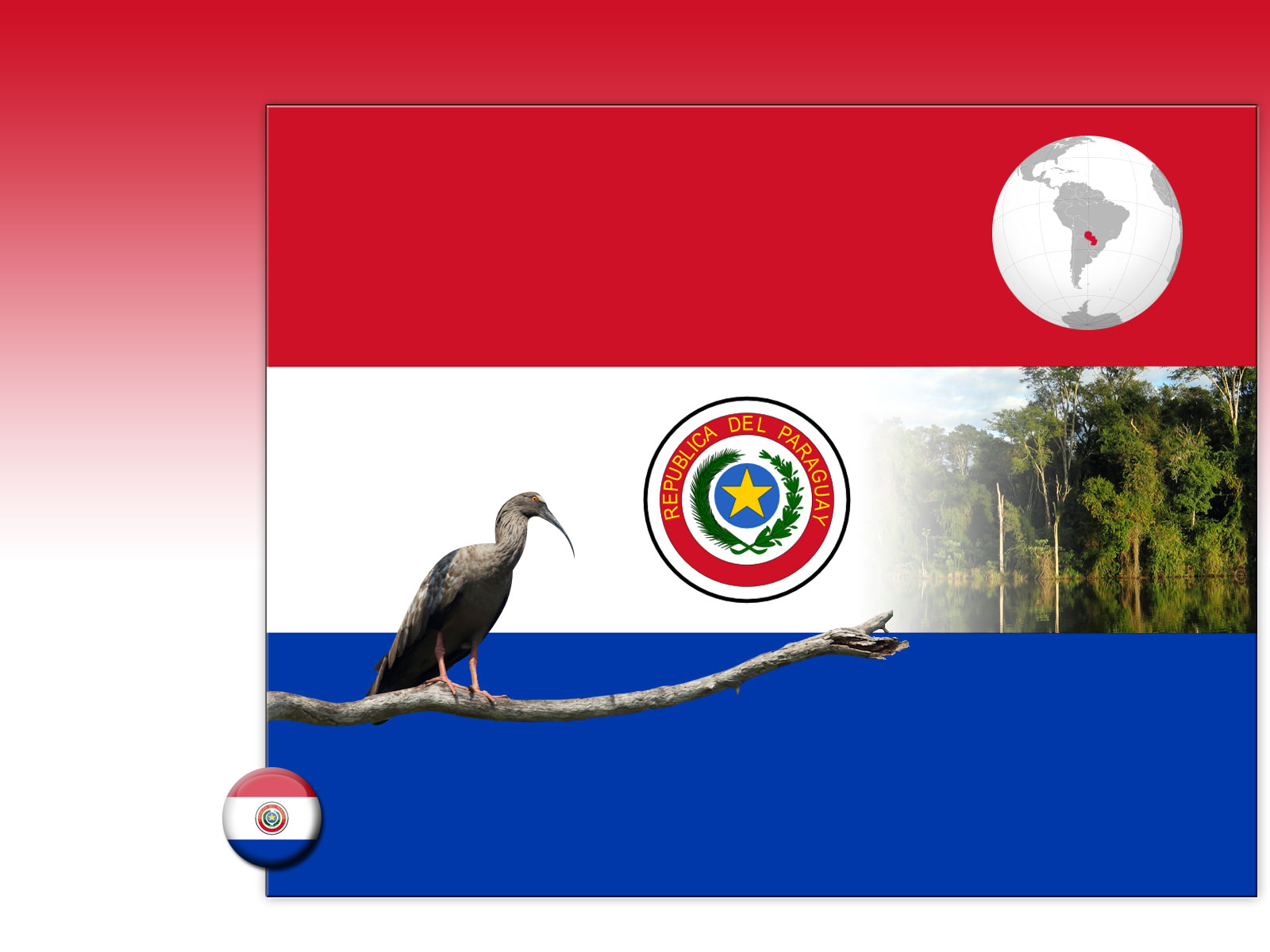 Drapeau : Paraguay