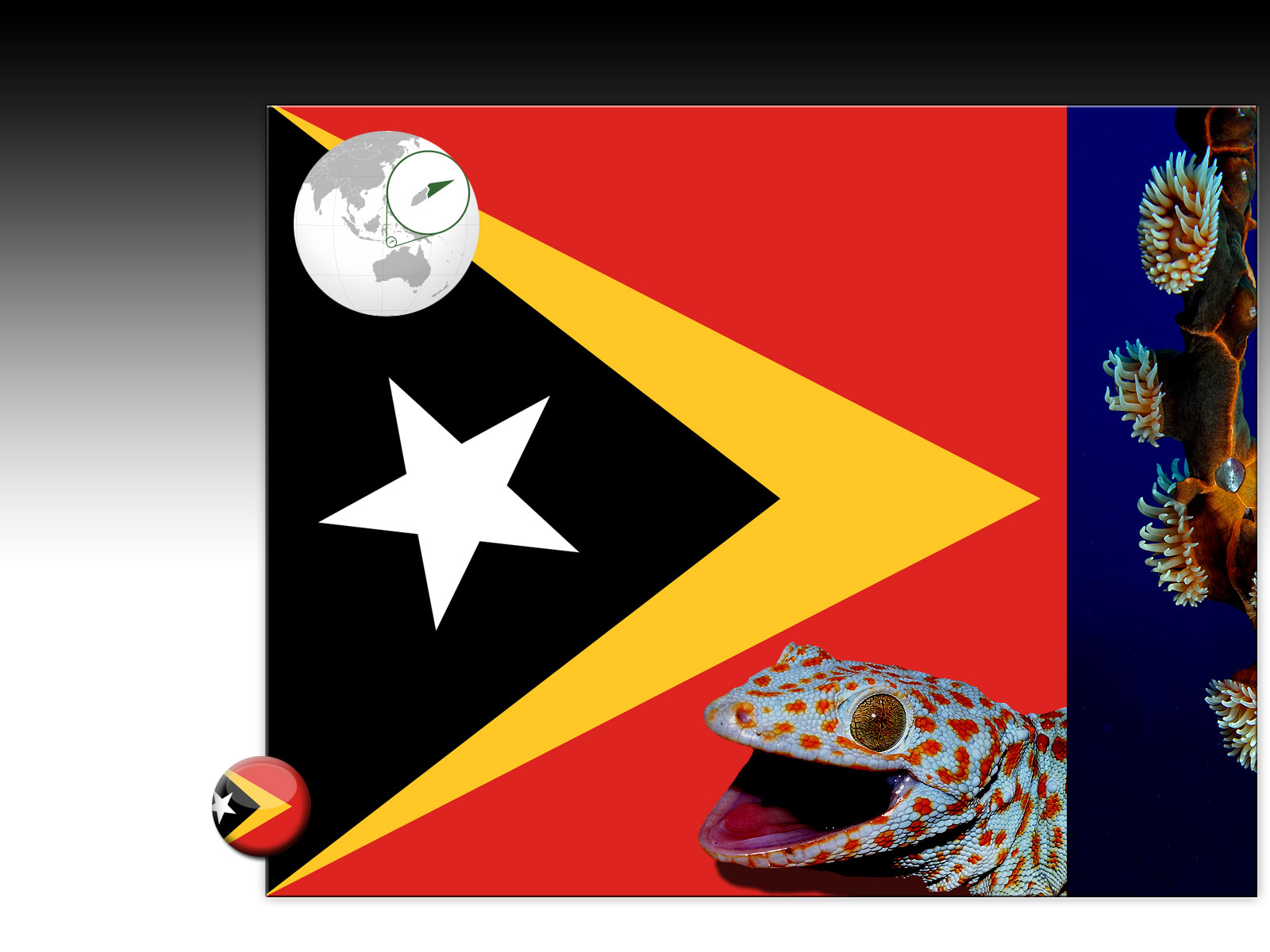 Drapeau : Timor oriental