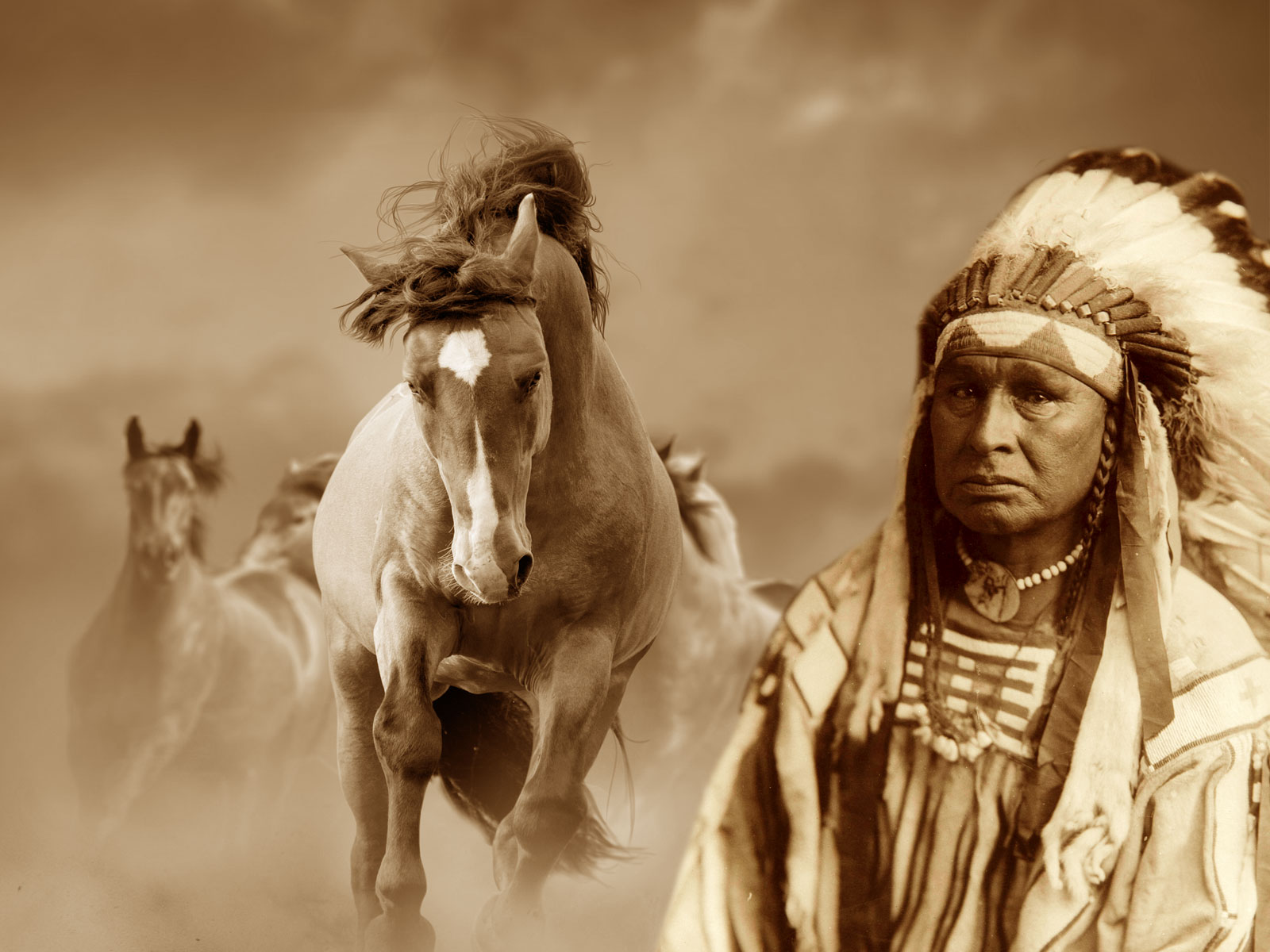 Sioux et chevaux sauvages
