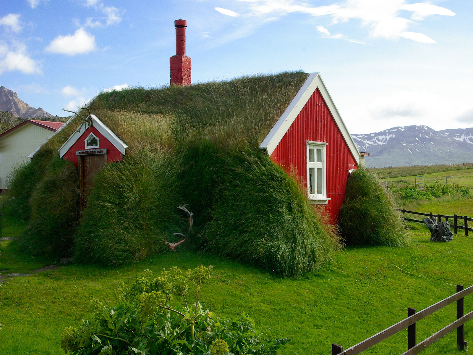 Ma petite maison végétalisée en Islande...