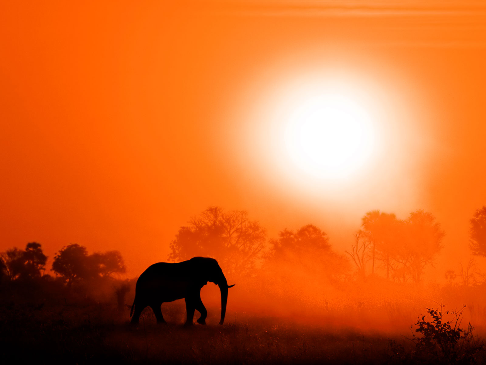 Kenya coucher de soleil