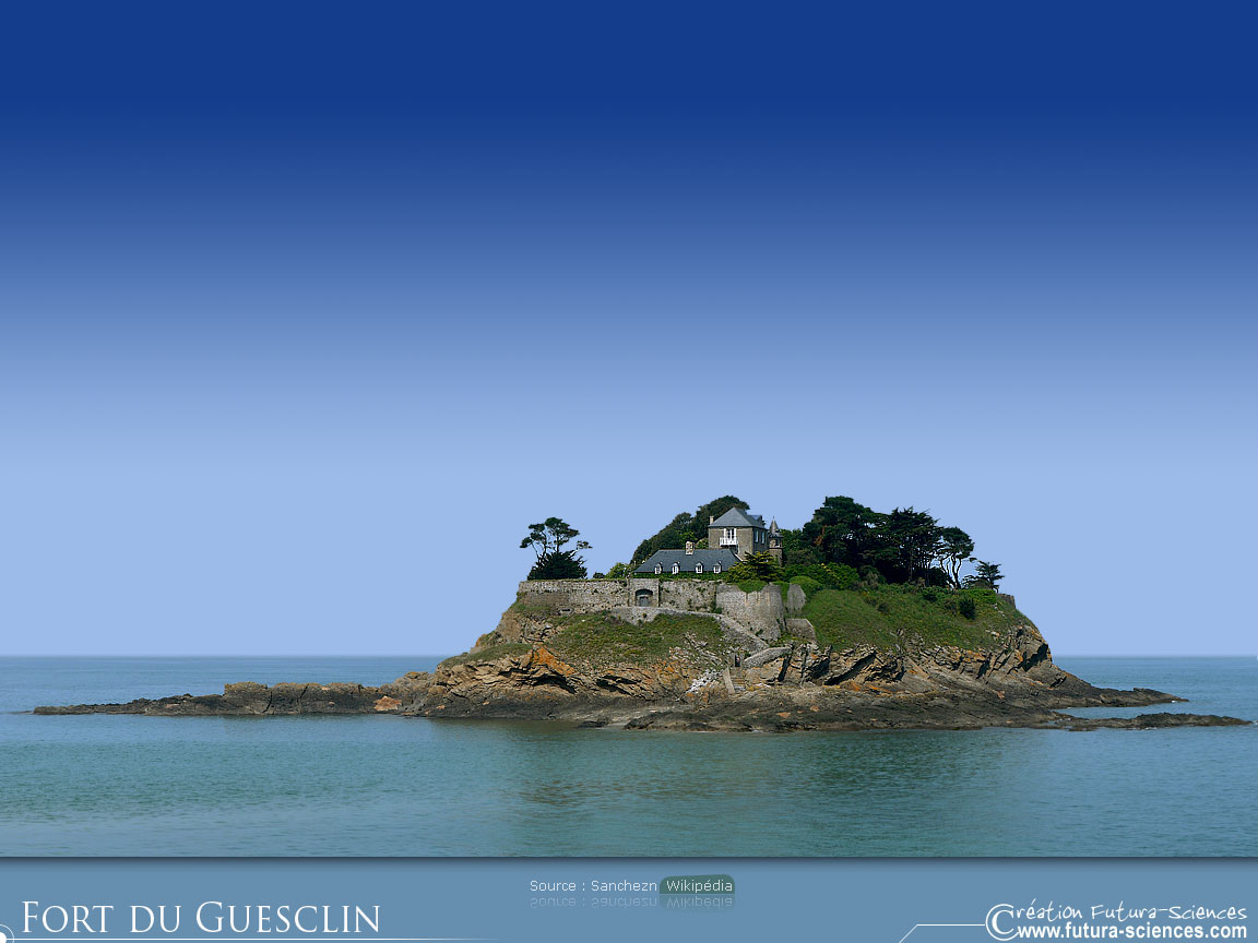 Fort  Du Guesclin