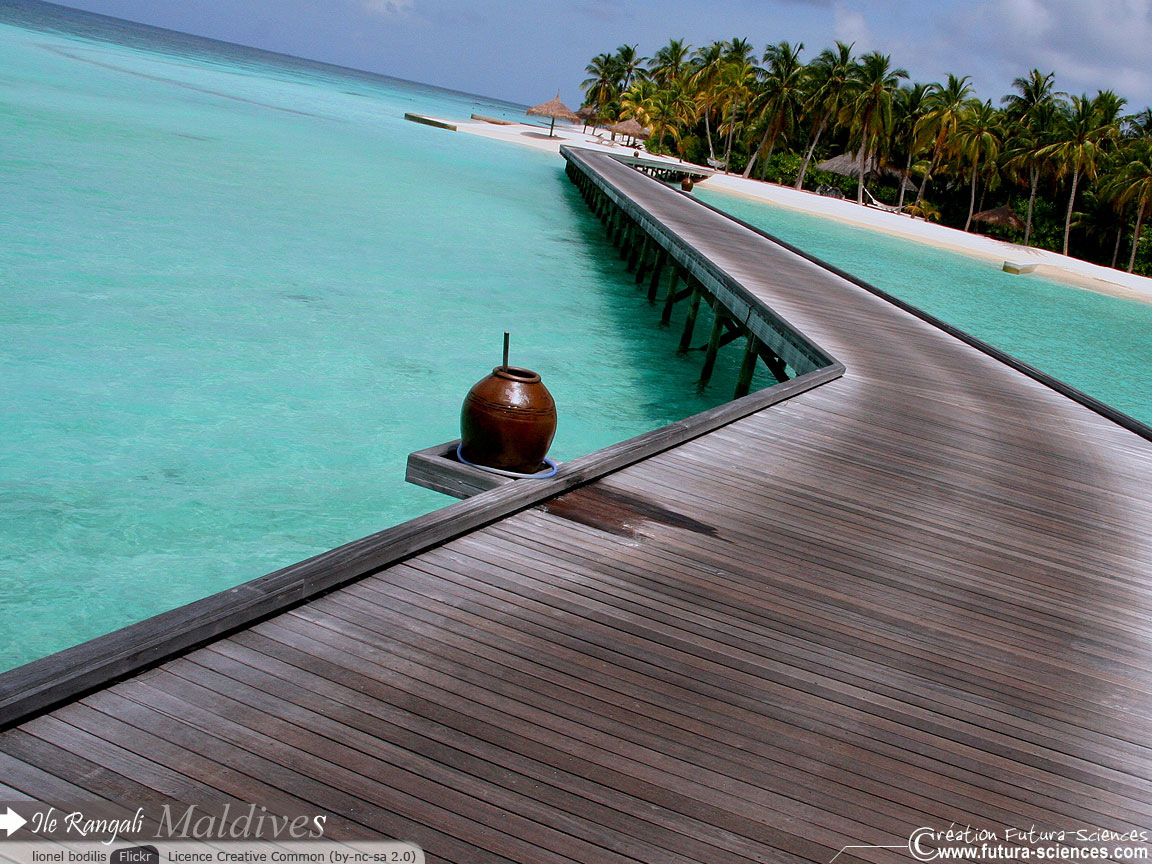 Ile Rangali - Maldives