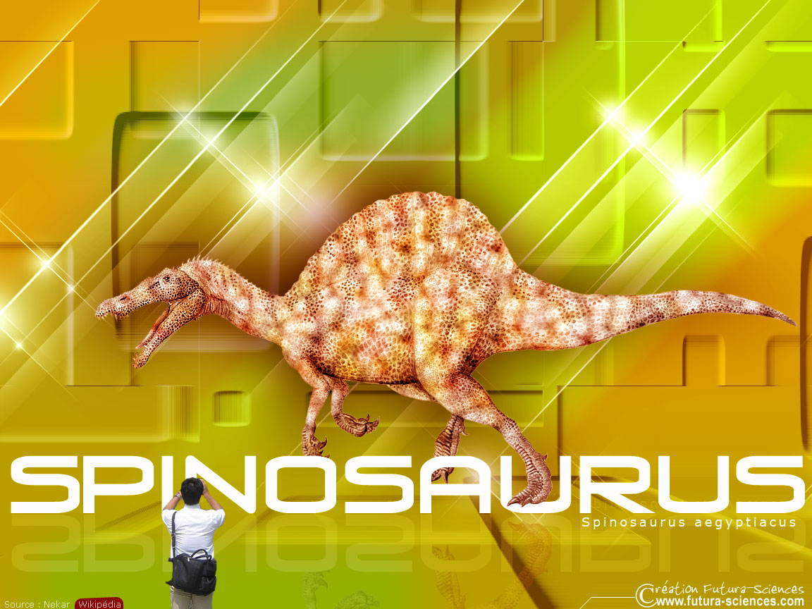Spinosaure