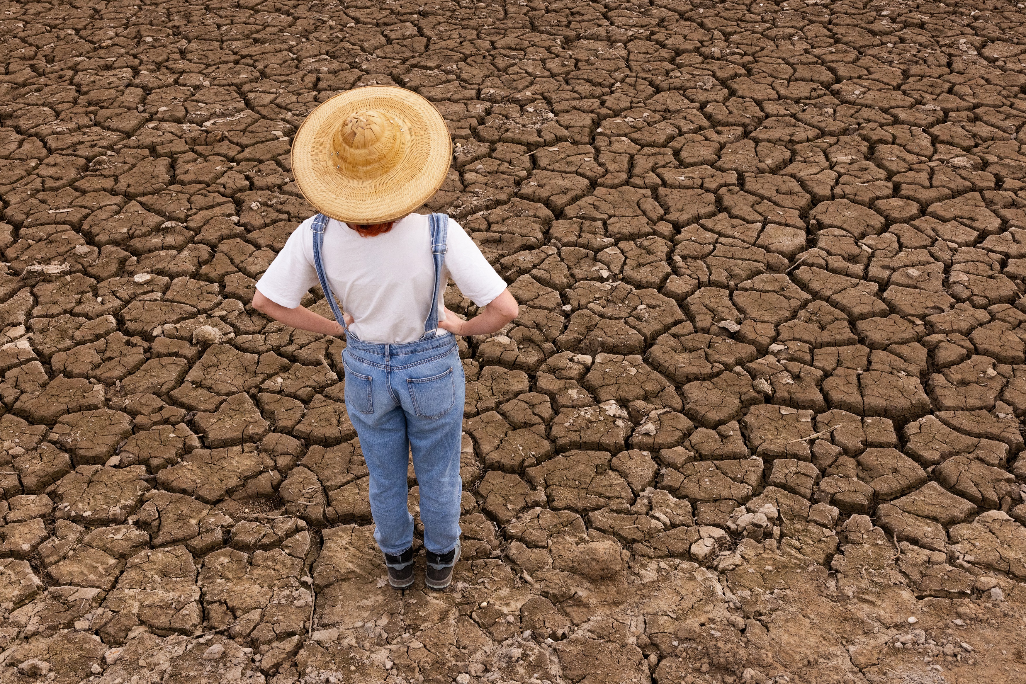 Les sécheresses s'étalant sur plusieurs années vont se multiplier dans les prochaines décennies. © VICTOR, Adobe Stock