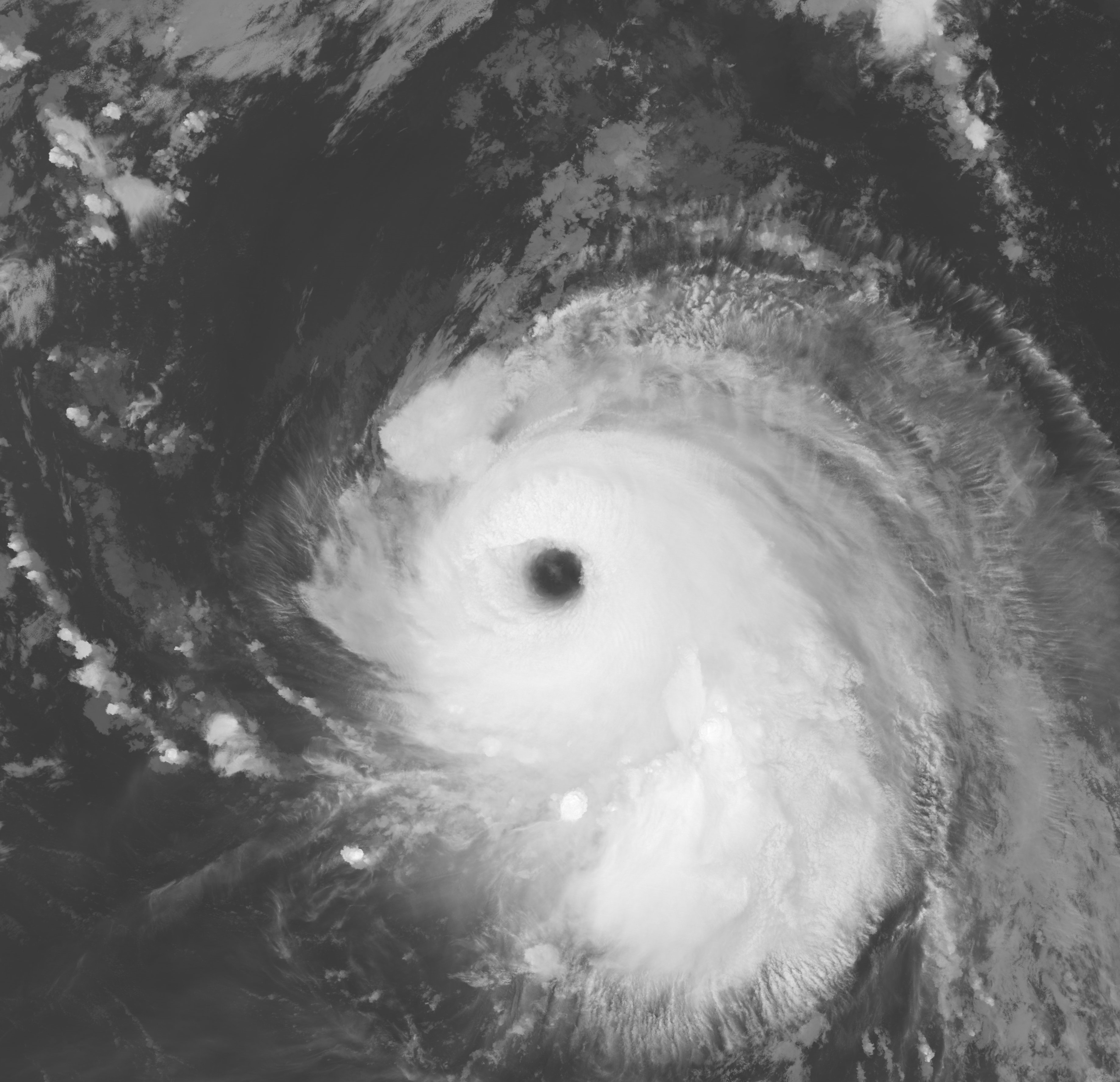 Le typhon Shashan présentait une forme absolument parfaite lors de son pic d'intensité avant de toucher le Japon. © NOAA