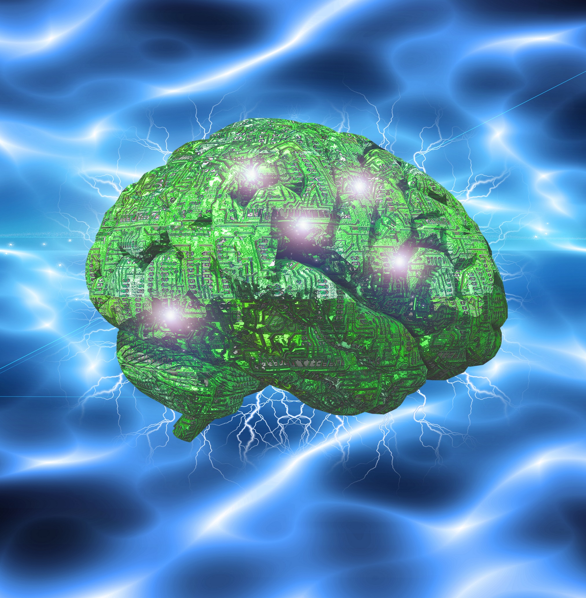 Un gros cerveau, avantage ou inconvénient ? © Bruce Rolff, Shutterstock