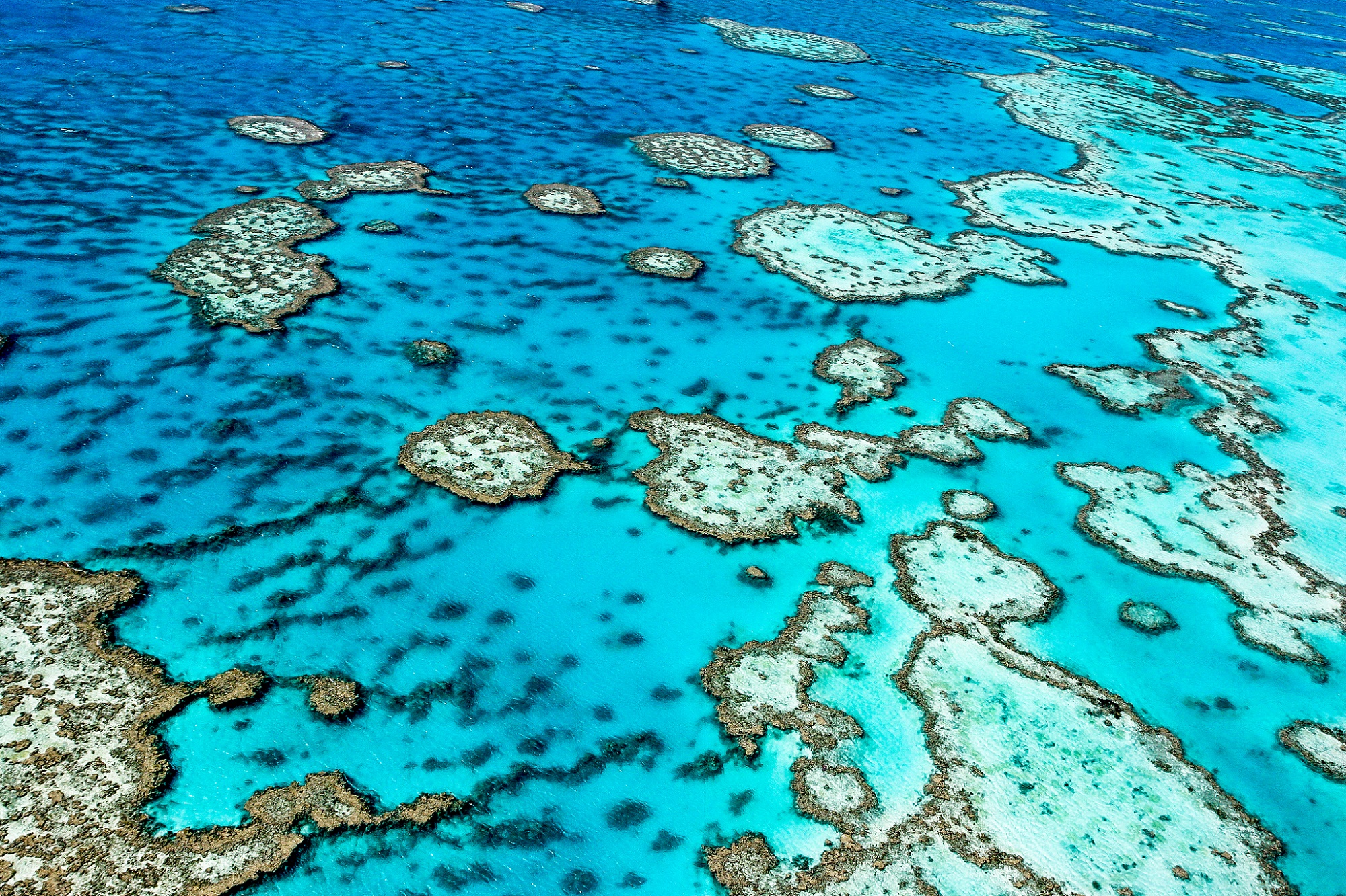 La Grande Barrière de corail se situe au large du Queensland, en Australie. © Edward Haylan, Shutterstock