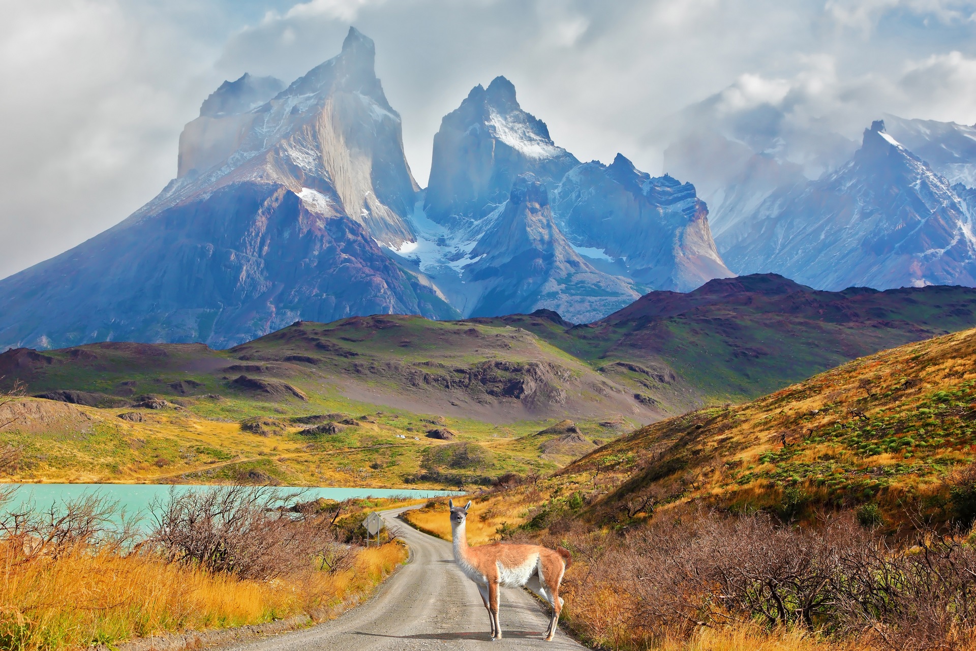 Les pics de Los Kuernons, au-dessus du lac Pehoé, au sud du Chili. Dans cette étude, les personnes vivant le plus au sud du Chili, les plus éloignées de l’équateur, semblaient plus enclines à l’hypertension. © kavram, Shutterstock