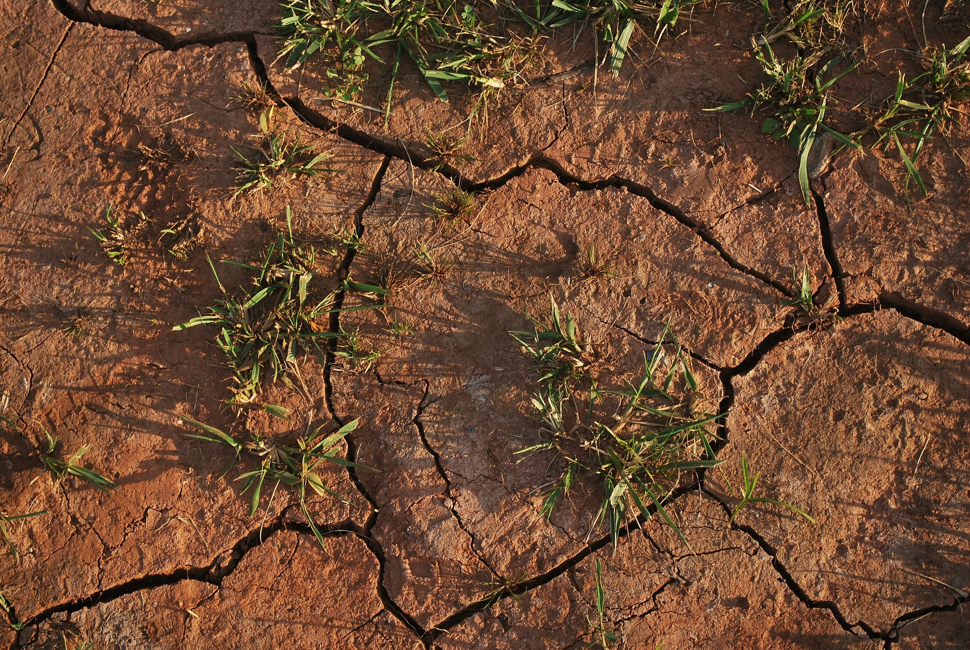 Aucune amélioration de la situation de sécheresse des nappes souterraines n'est prévue avant l'automne. ©&nbsp;PublicDomainPictures, Pixabay