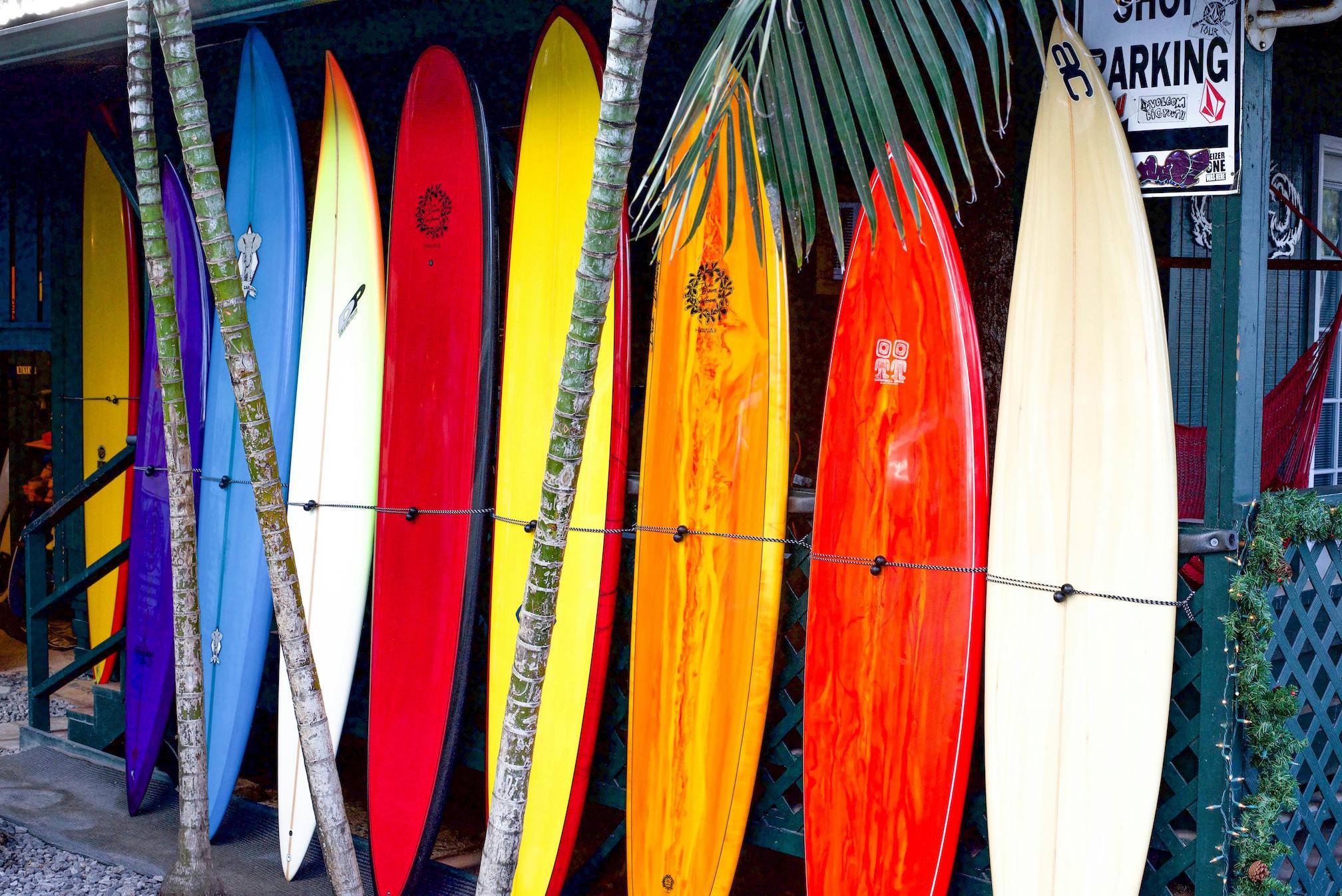 Au fil des années, les planches de surf ont évolué pour répondre aux exigences des surfeurs et des contraintes des vagues. © Chelsey Horne, Pexels